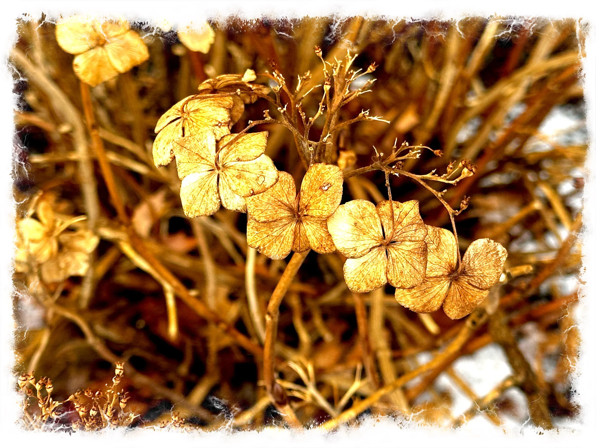 Hello God- remind me 