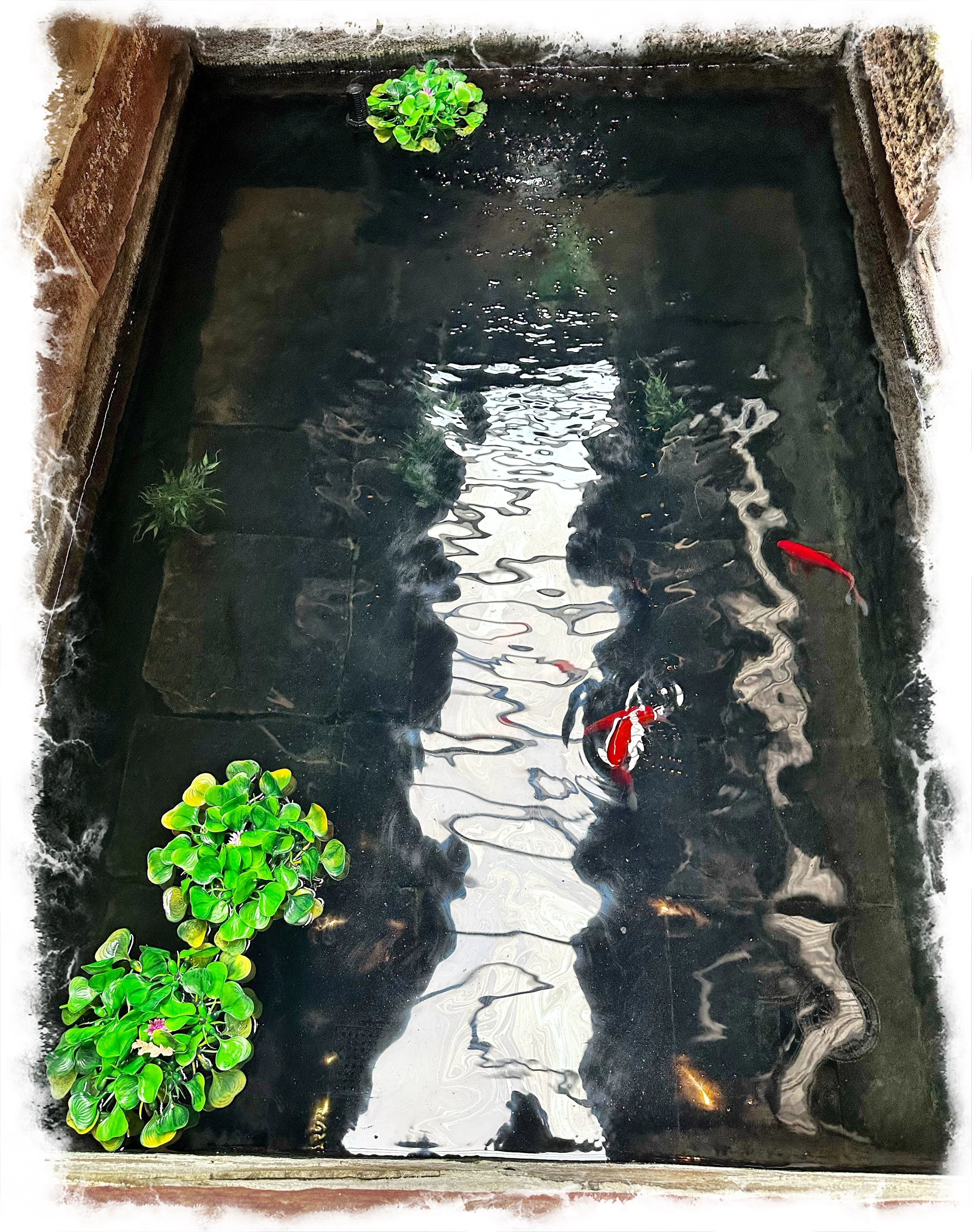 Reflections and Realities