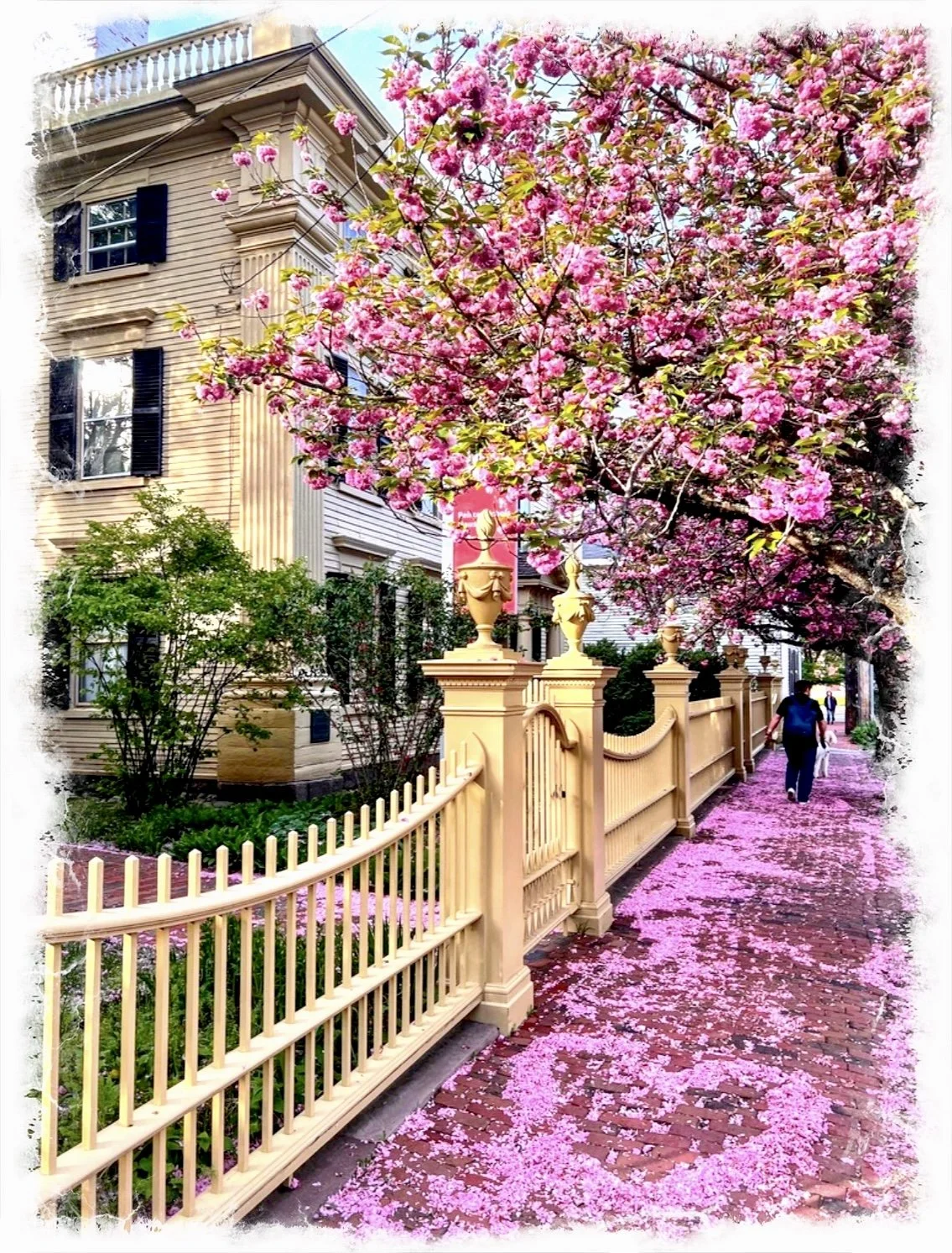 Dancing with the Moon- a poem