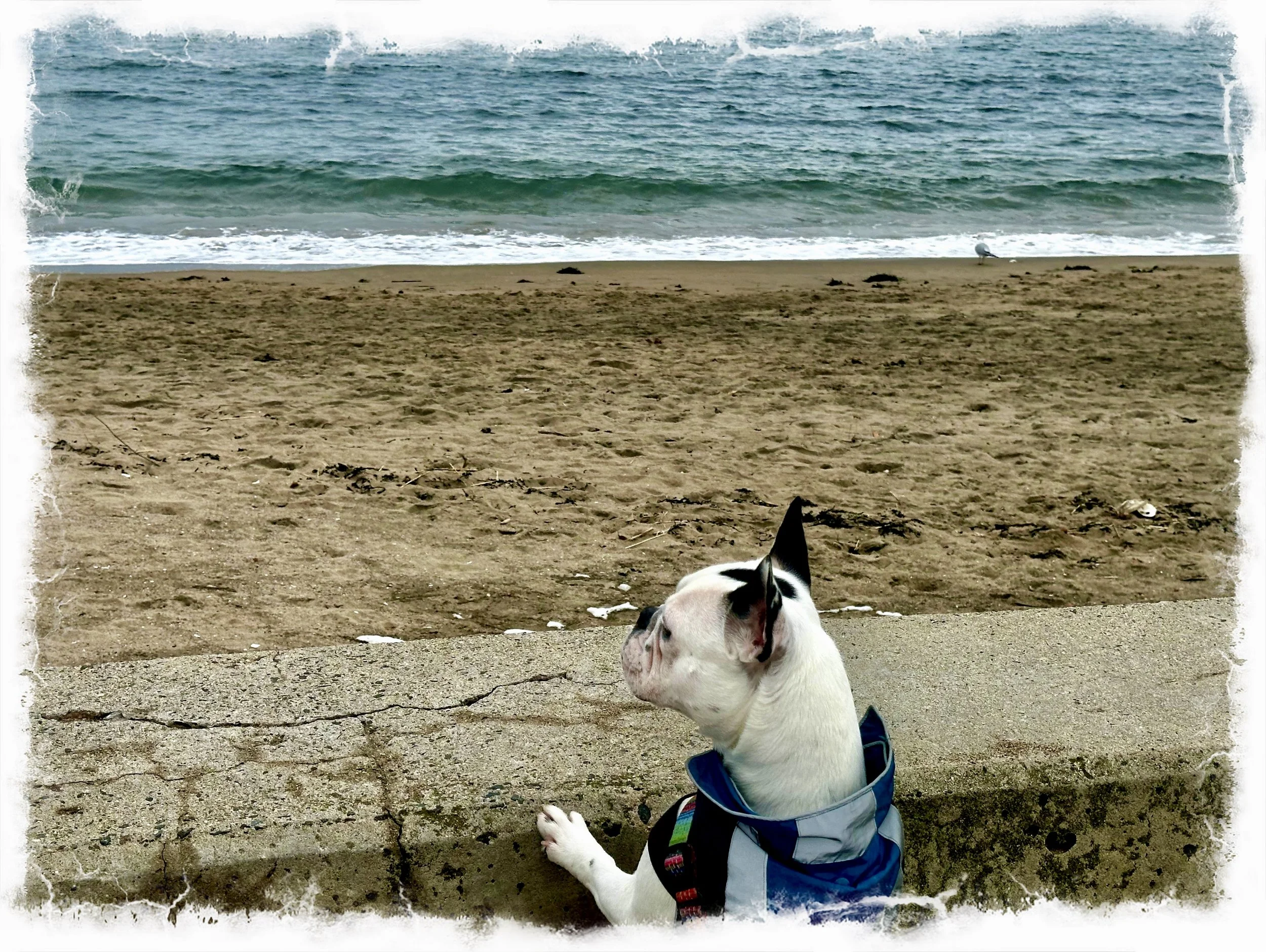 Did you see that mommy?