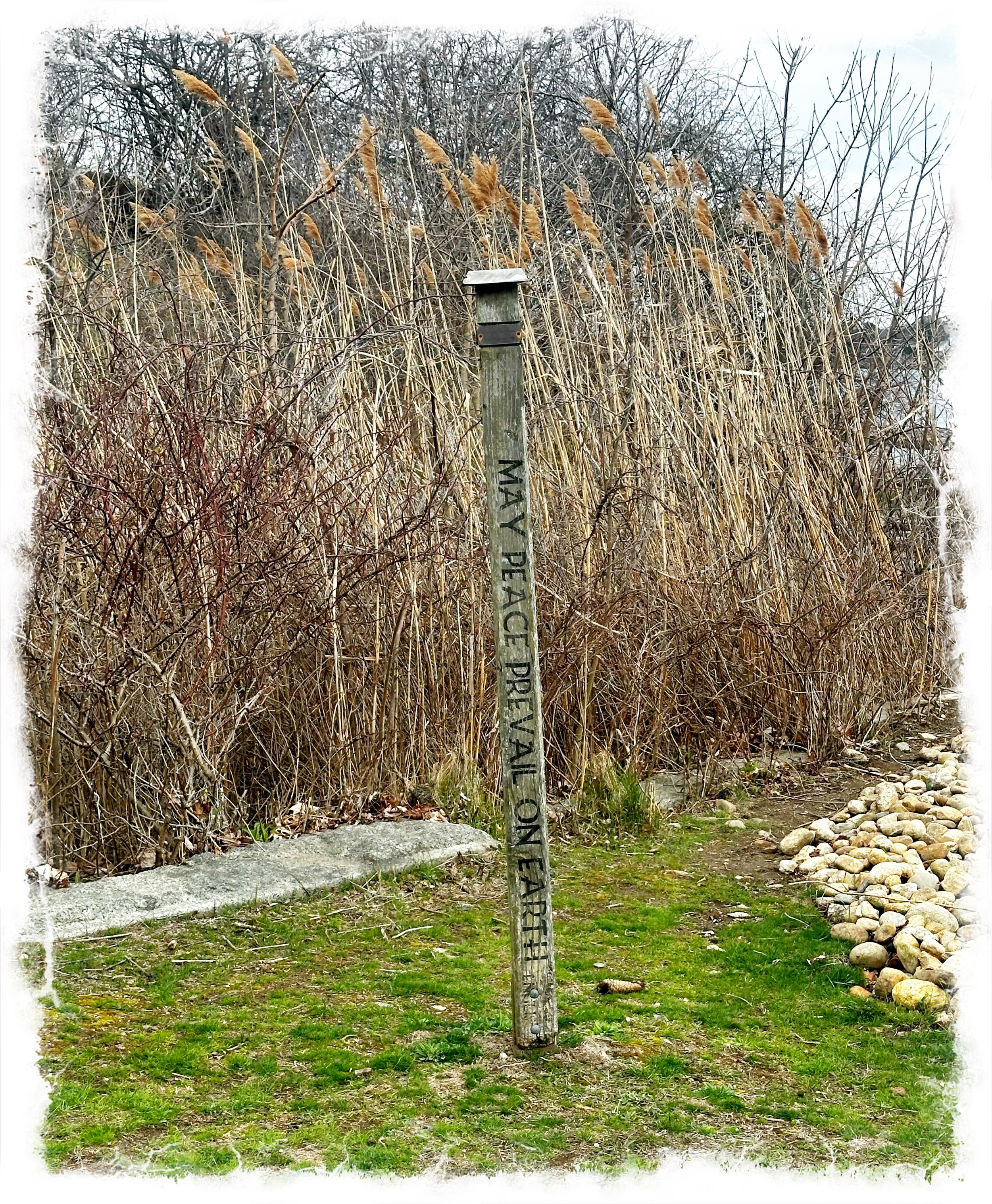May peace prevail- a thought 