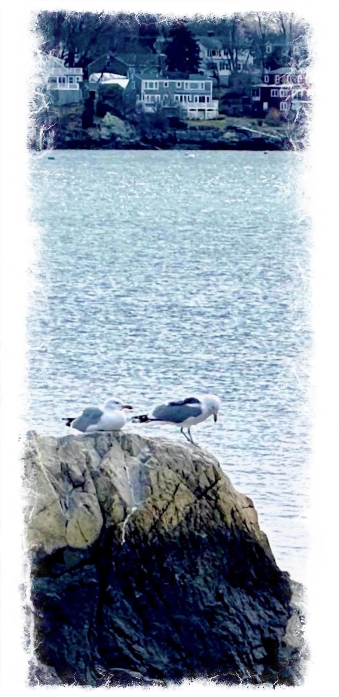 Comfort in Silence- a thought