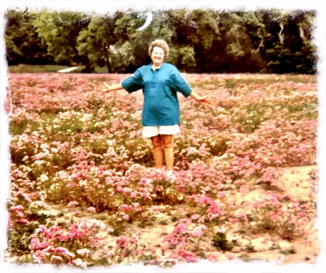 Moma’s phlox- a thought