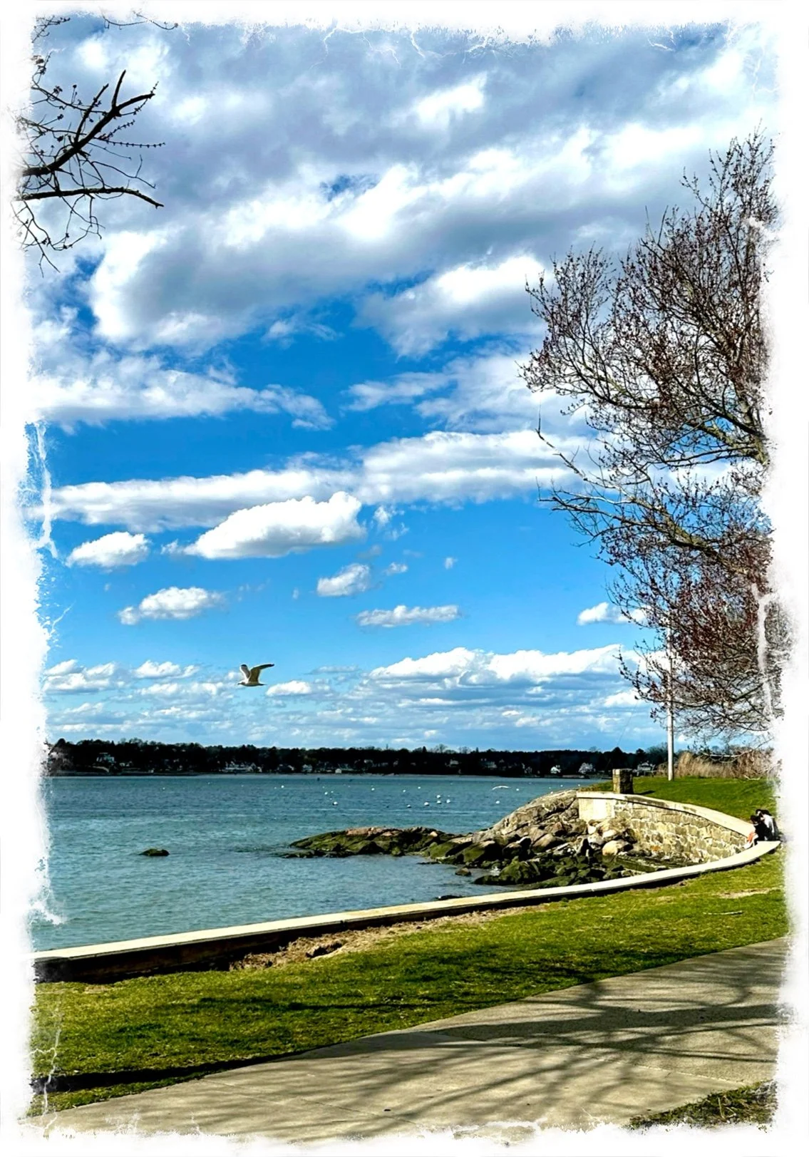 Favorite Songs- a poem