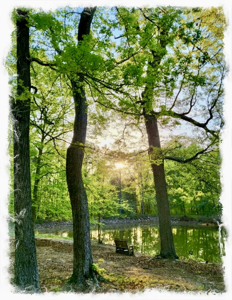 Stop and Breathe- a thought