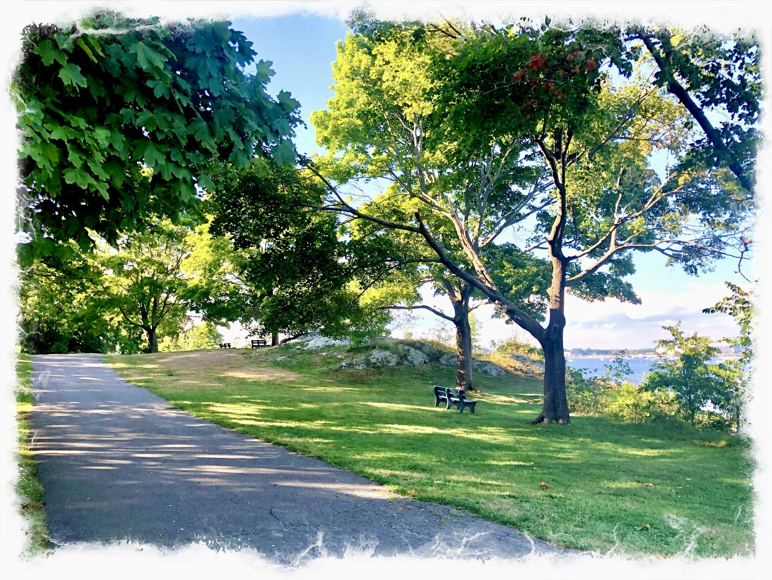 Let in the Grace- a poem