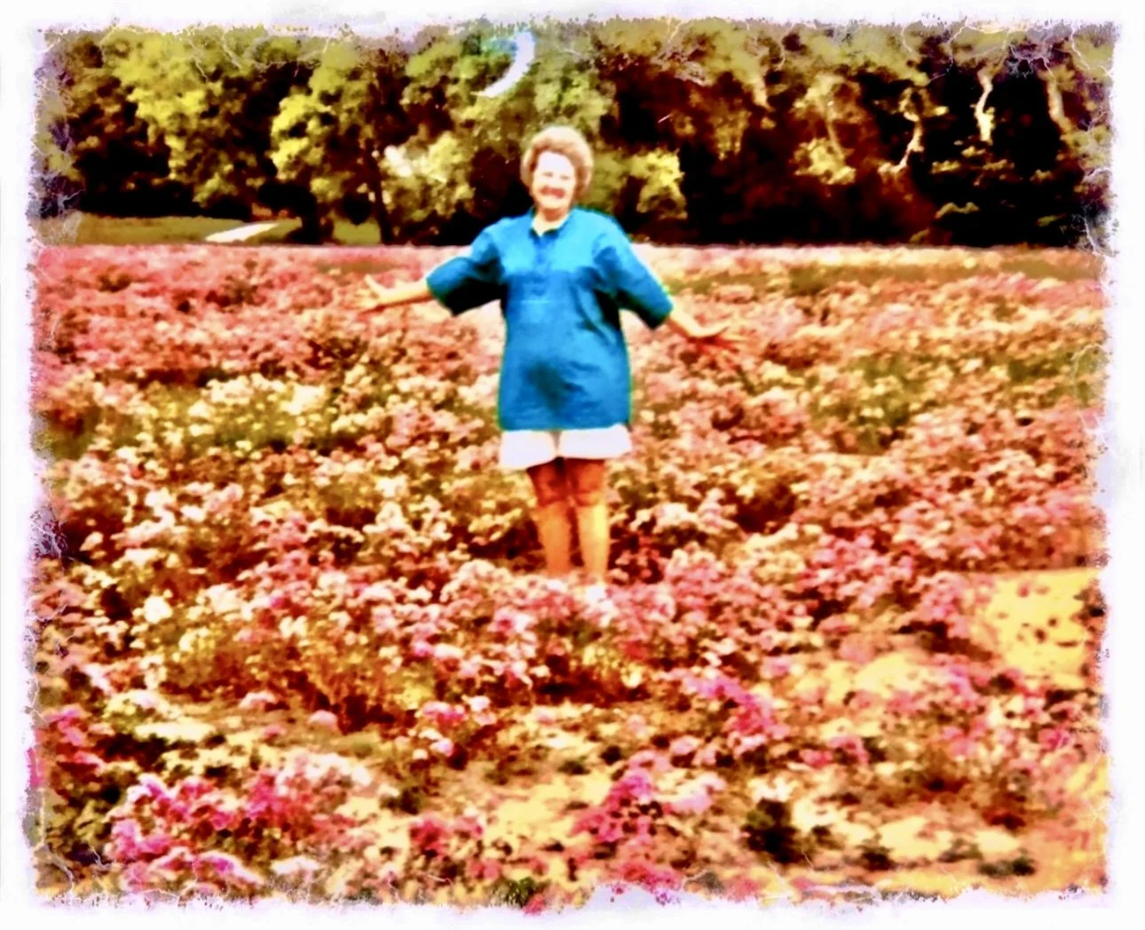 Field of flowers – a thought