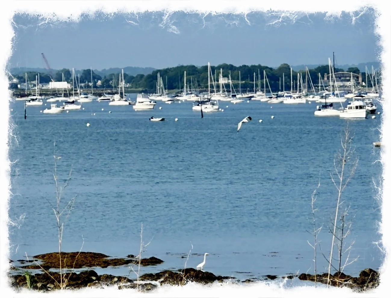 A Mantra of acceptance 