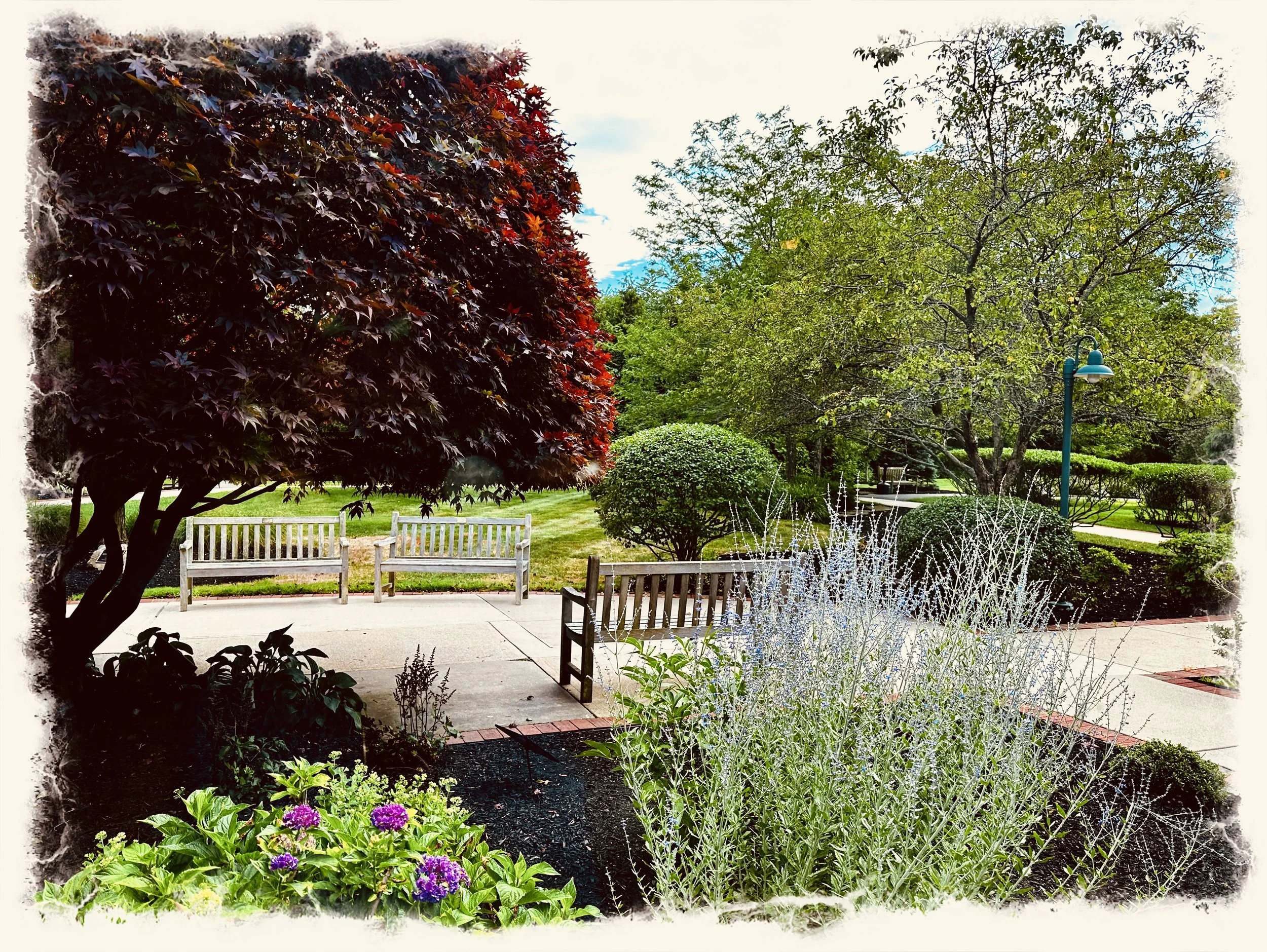 Your Visit- a thought