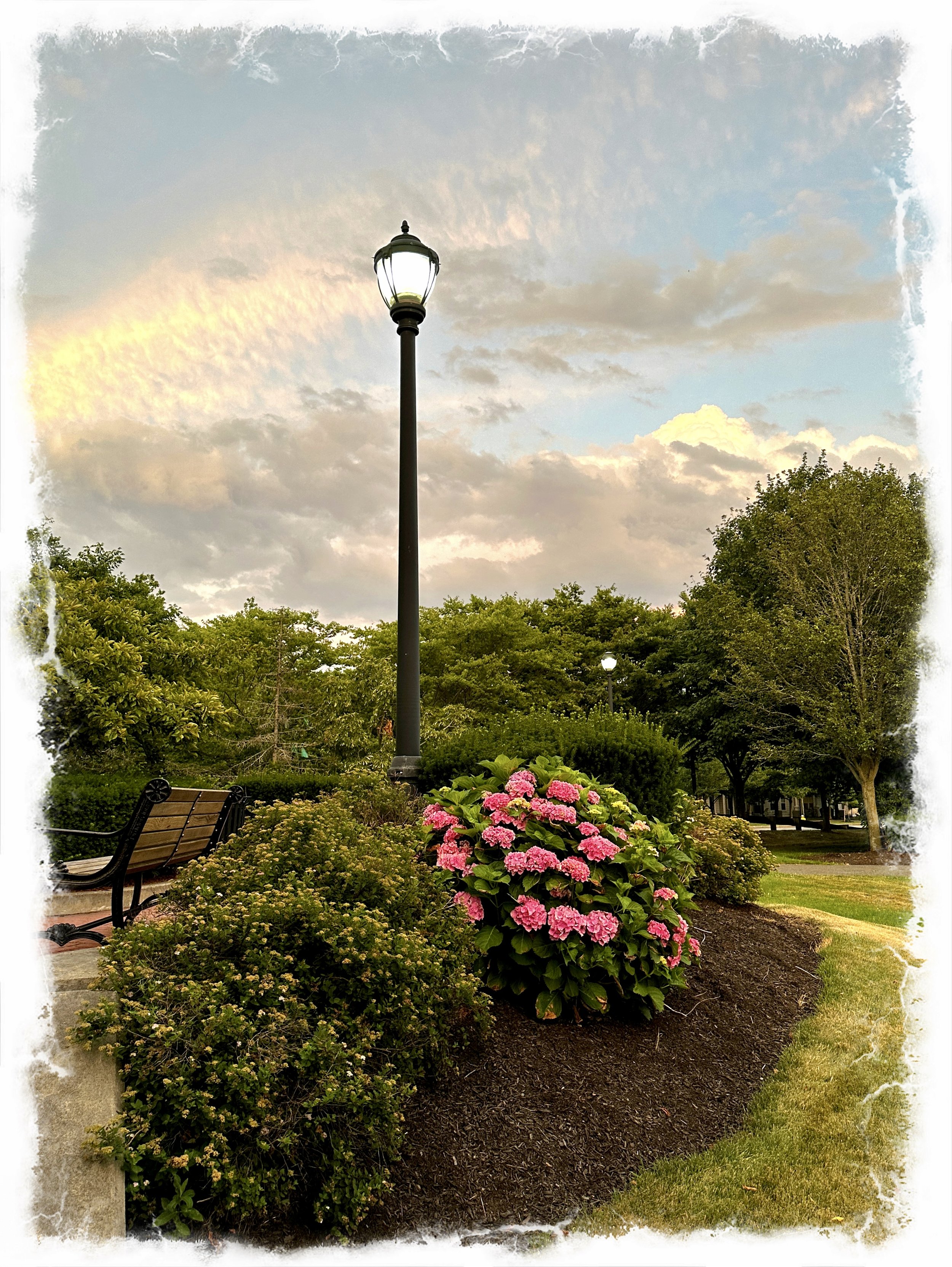 Our garden of life – a thought