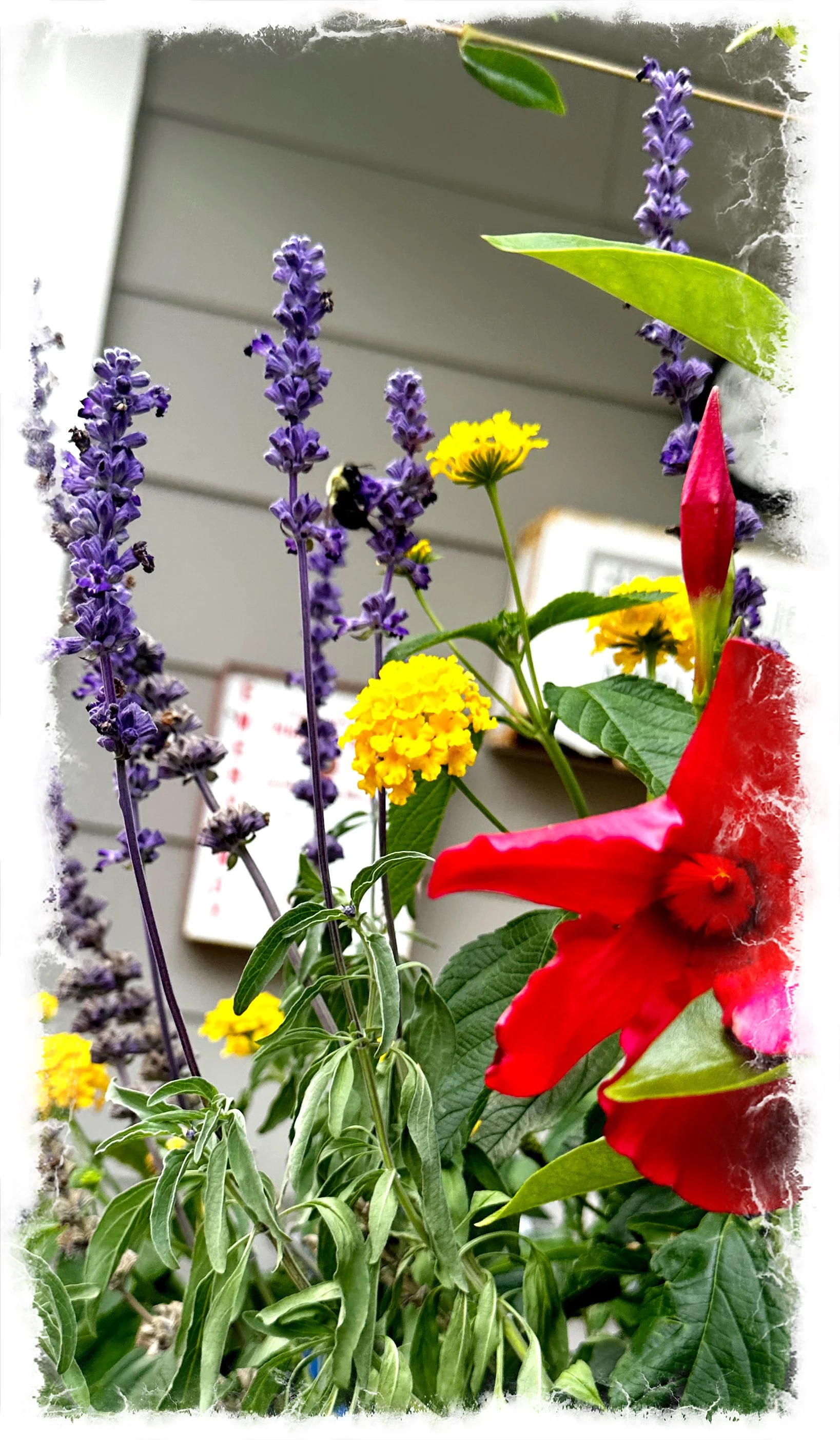 Gather what you Will- a poem