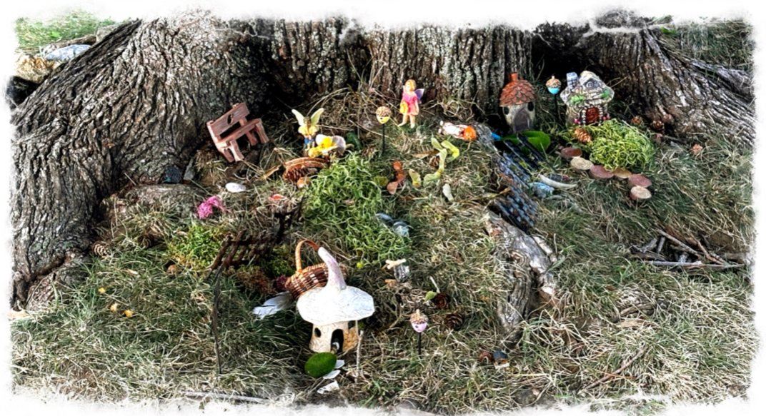 Fairy Garden 