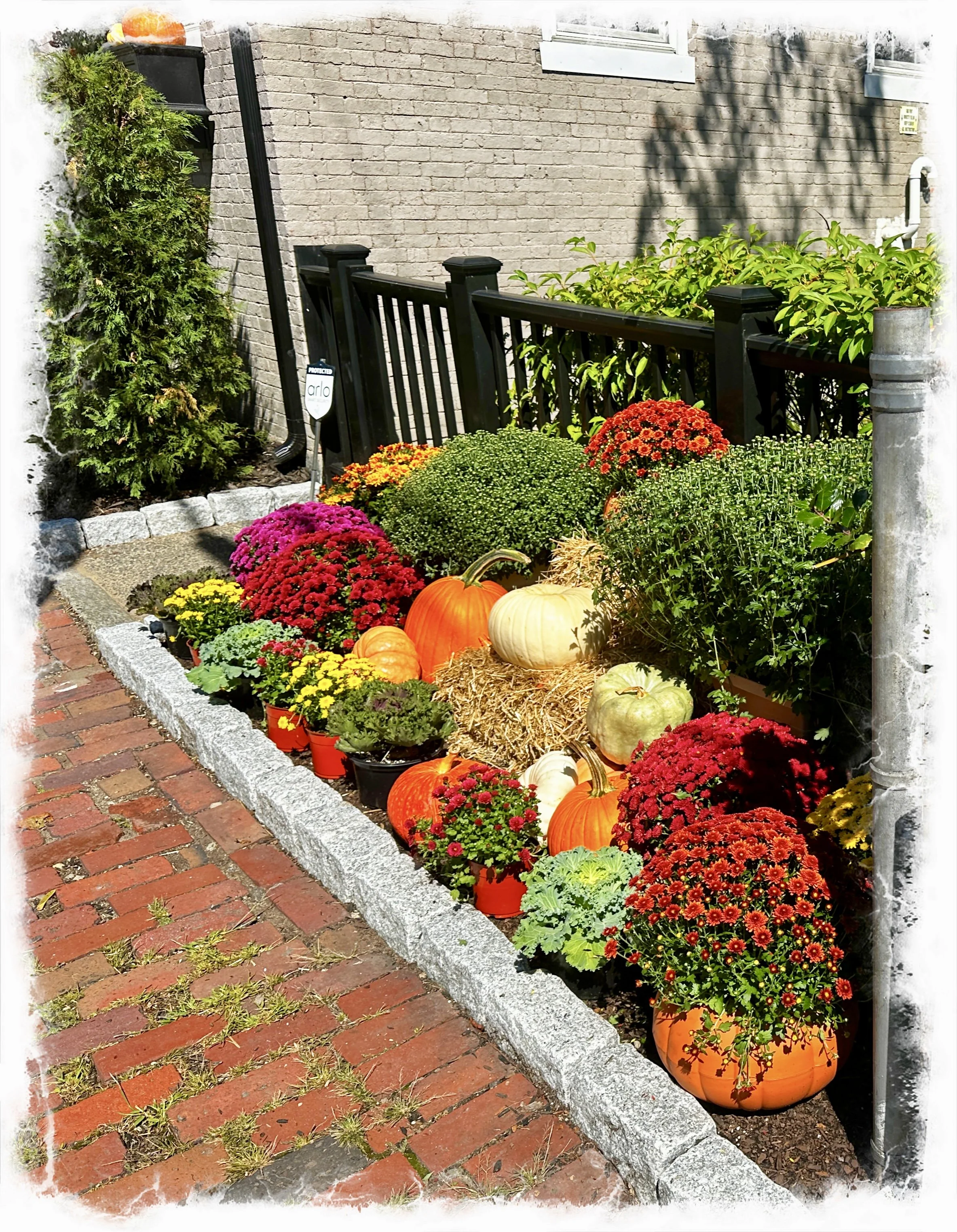 Fall is in the air…