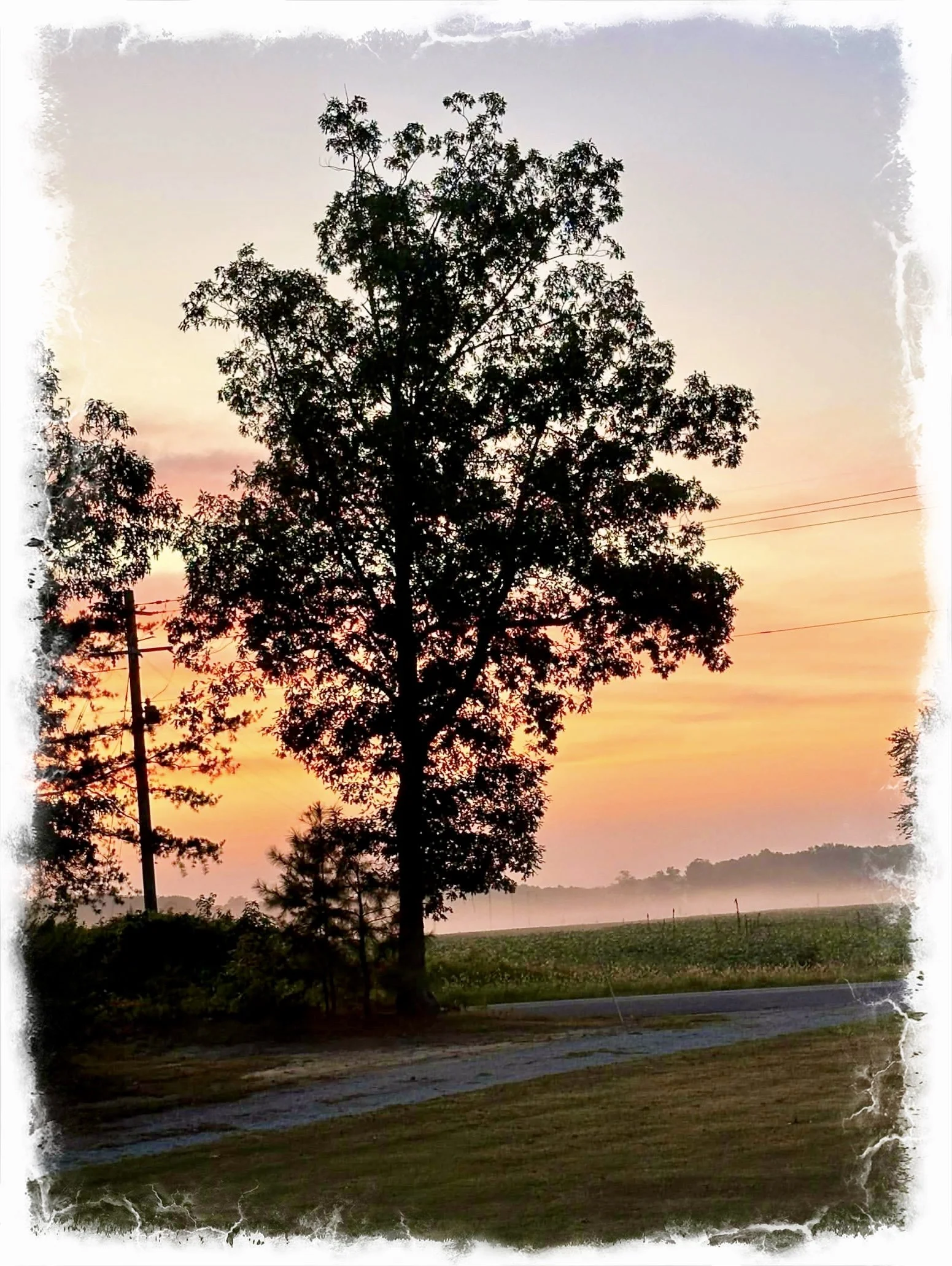 The beauty of your Life- a thought