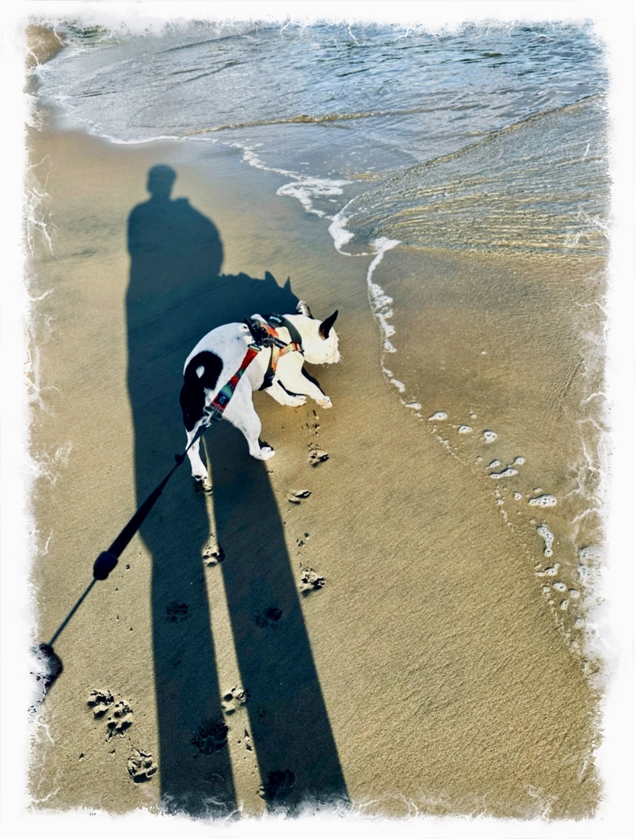 Sea Glass- a poem