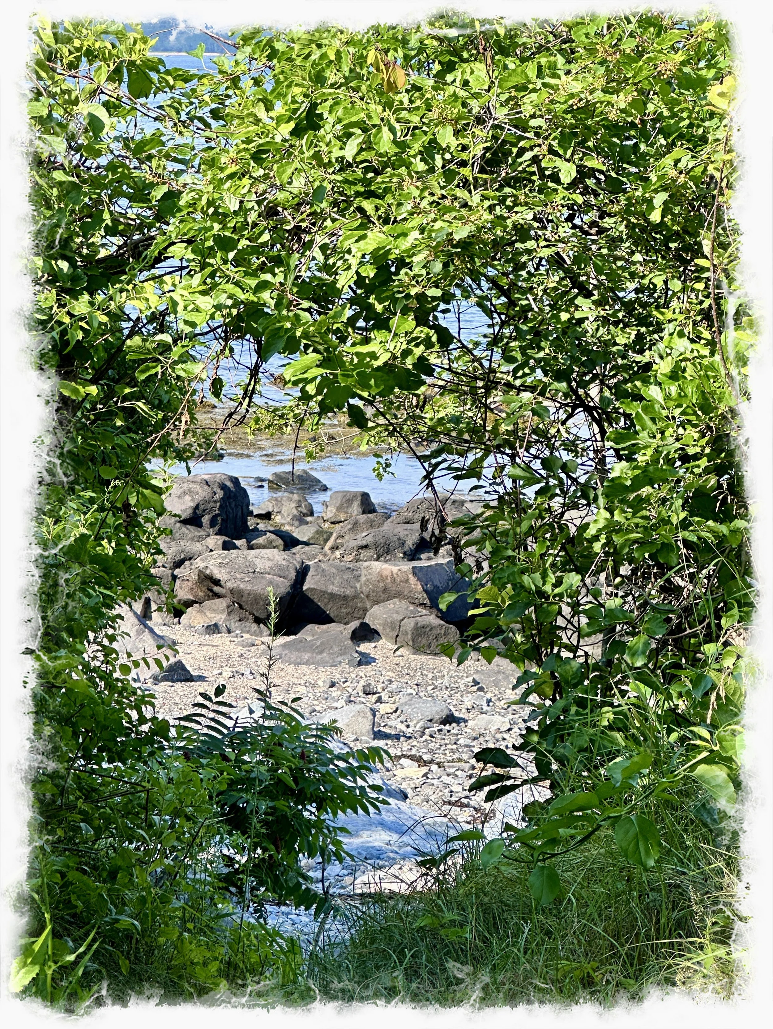 Mindfulness- a thought