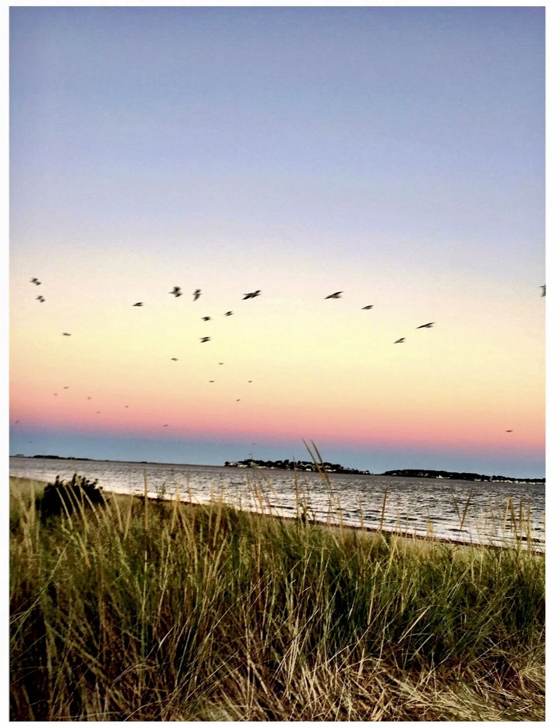 New Day