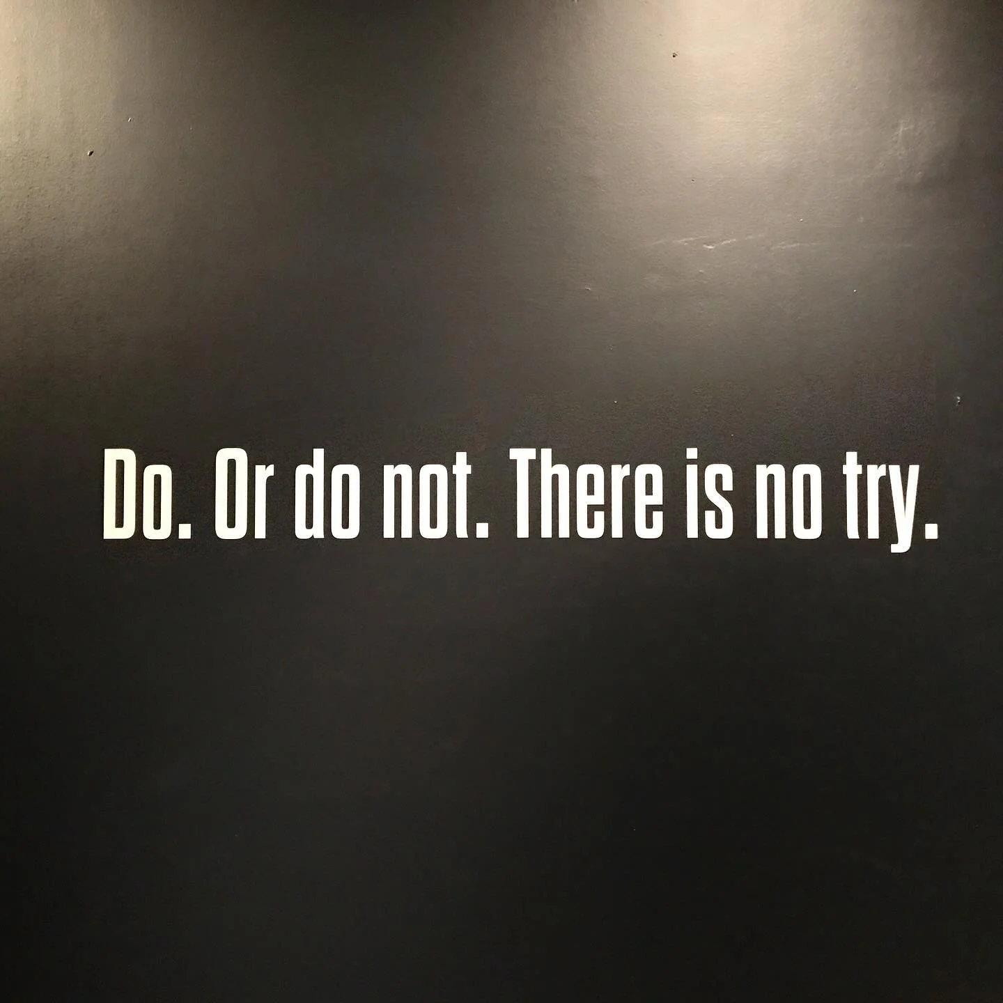 To celebrate May the 4th, a throwback to &lsquo;The Art of the Costume&rdquo; exhibit at @cincymuseum (2017).
.
#lucasfilm #disney #starwars #artofthecostume #cincinnatimuseumcenter #cmc #cincinnati #ohio #yoda #truth