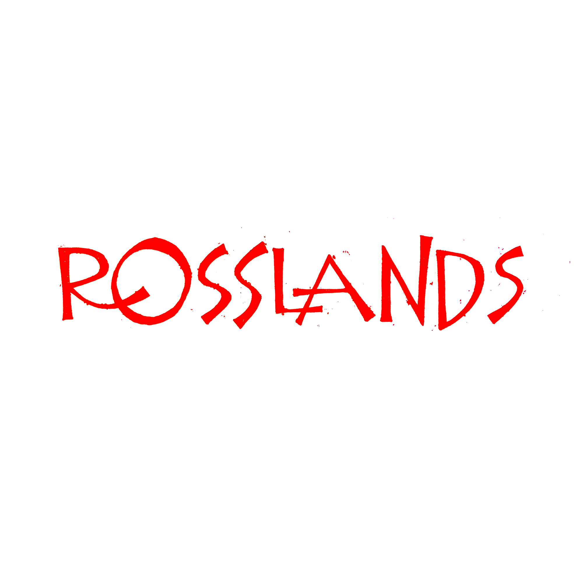 ROSSLANDS – Handmade products and original designs of a more lowbrow bent. Founded and directed by me, and partnered by my wife.
