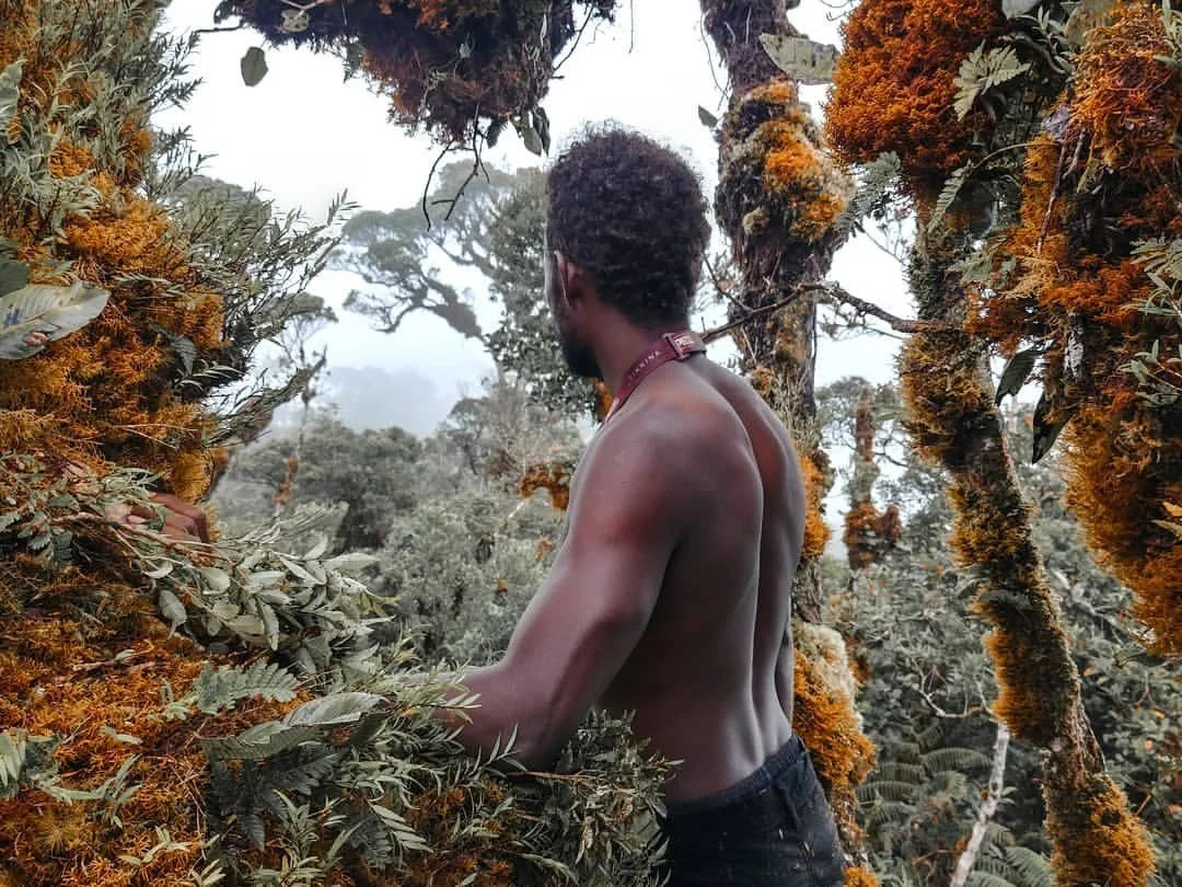 &quot;Once again on the roof of western province 1710m tapalamengutu, kolobangara...&quot;⁠
⁠
📸 &amp; words by @kidofdanite, follow him for more stunning imagery of the Solomon Islands.⁠
⁠
[Image: a man stares out into the jungle around and below hi