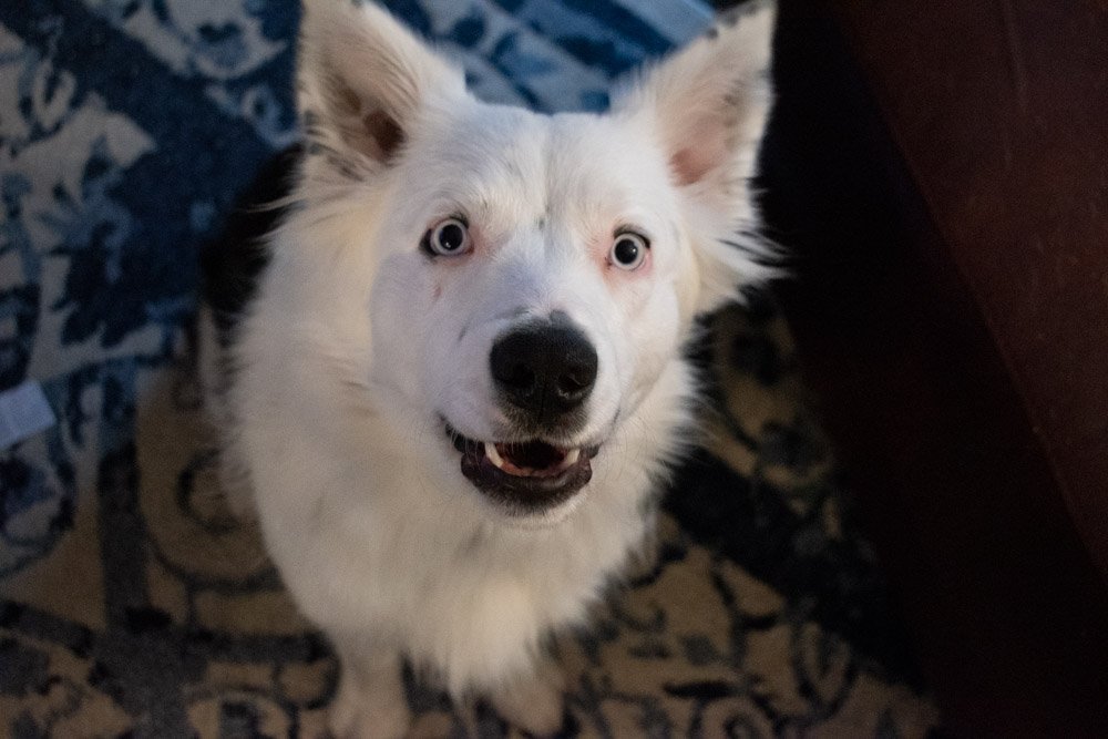 DSC_0418.jpg