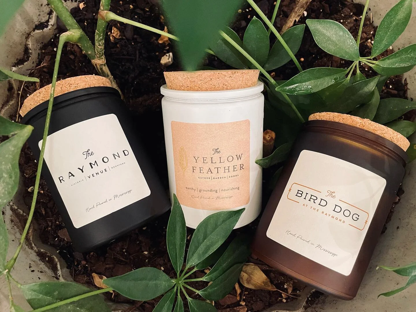 CANDLE RESTOCK 🕯️ New look - same favorite scents 💕