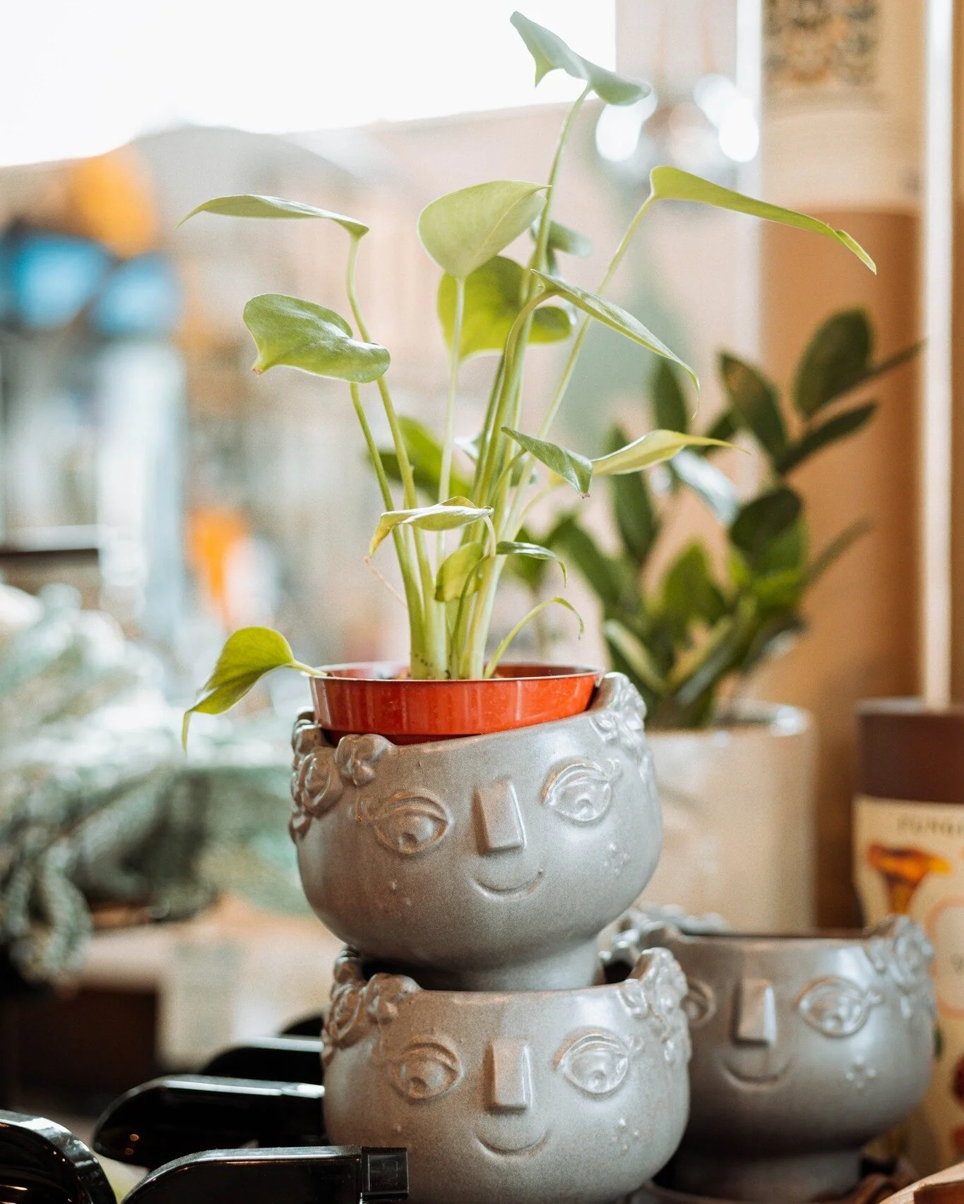 Gotta love a planter with character! 🪴 
.
.
.
 #ShopSmall #smallbusinesssupportingsmallbusiness #shoplocally #shoplocal #plants #plant #Plantlife #garden #gardening #gardendecor
