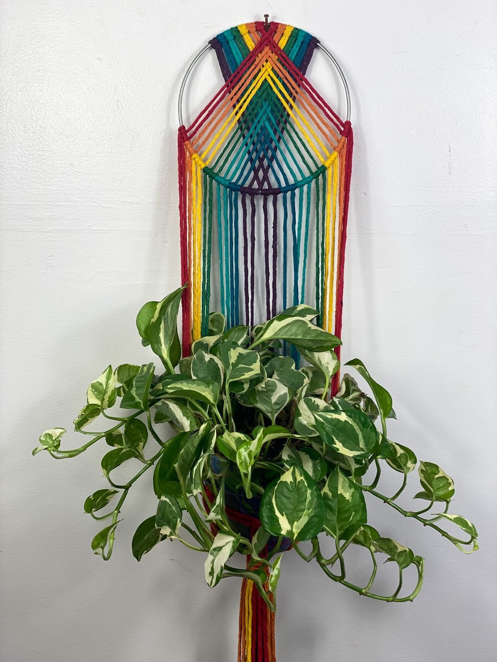 Colorful Plant Hangers