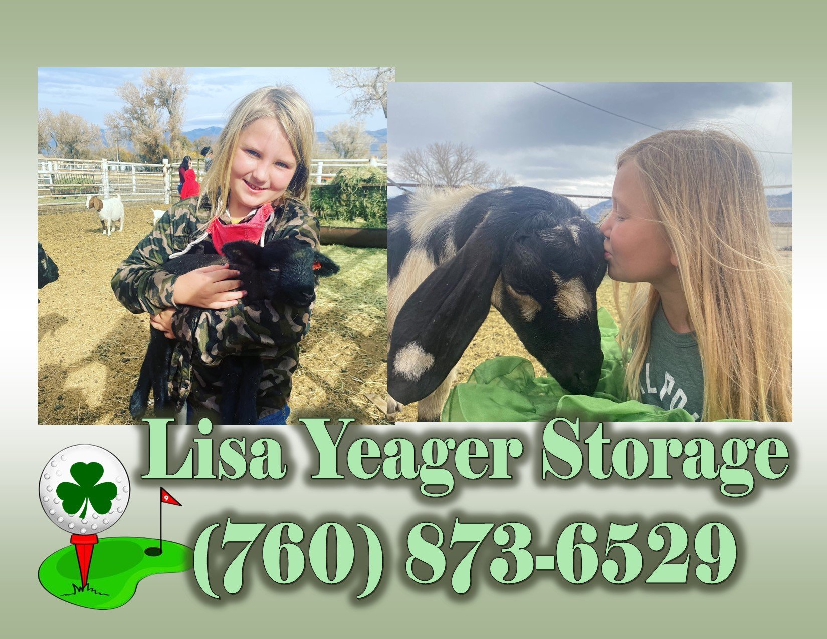 Lisa Yeager Storage.jpg