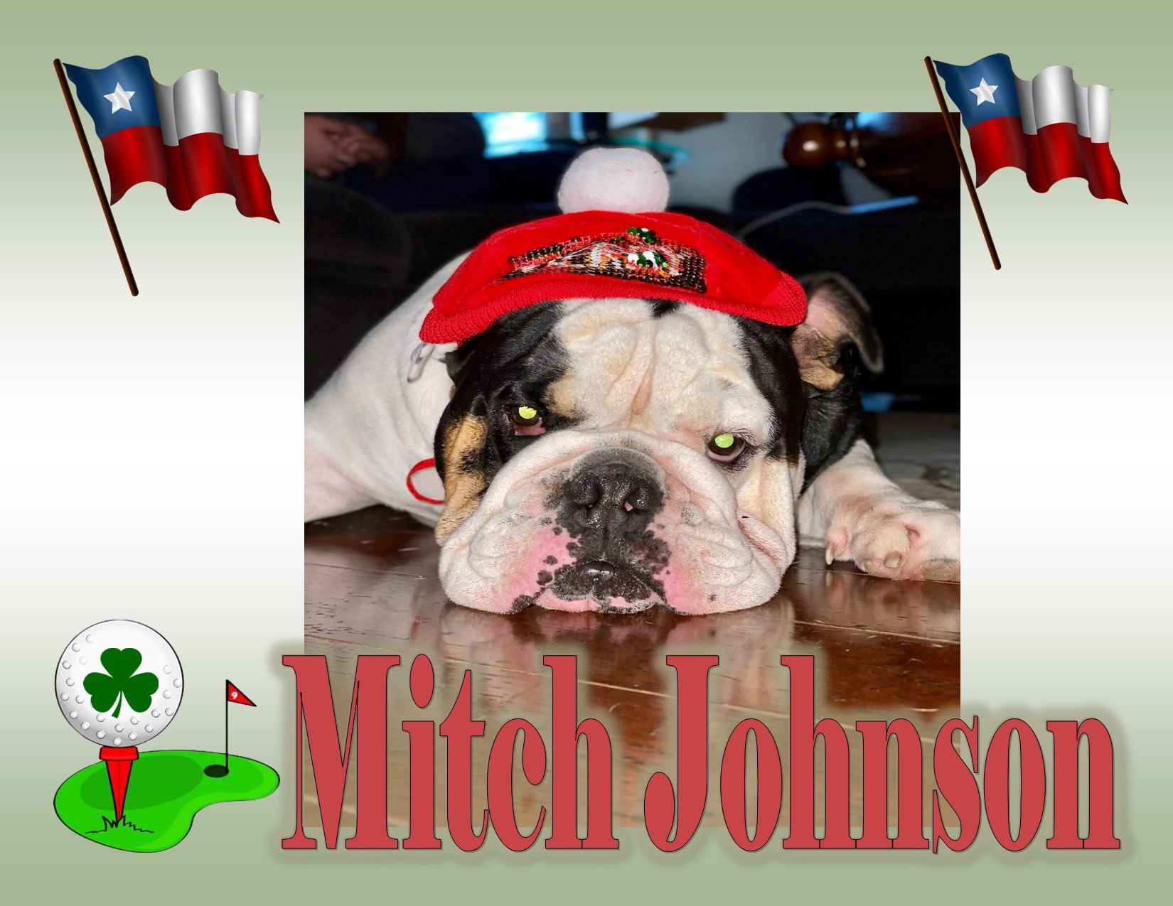 Mitch Johnson.jpg