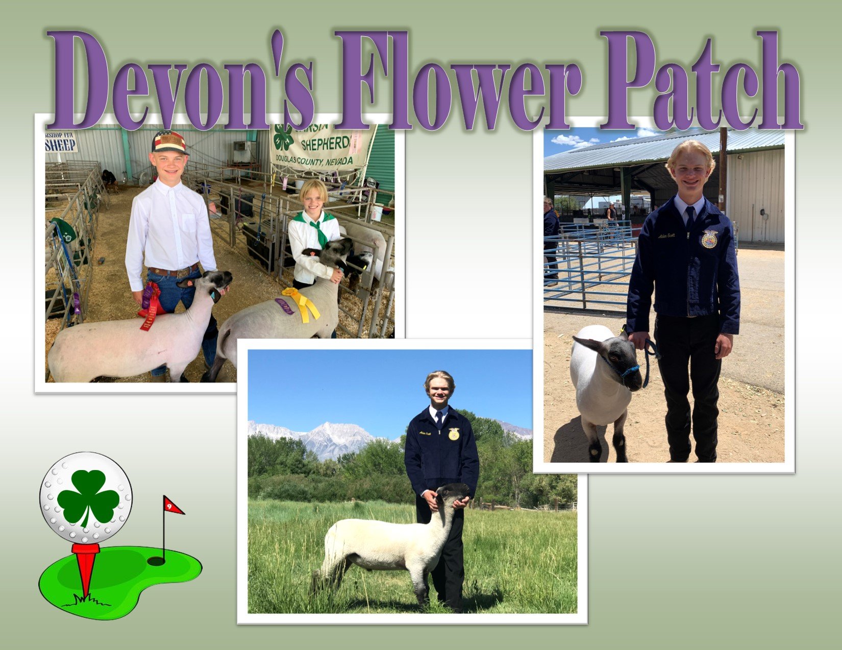 Devons Flower Patch.jpg