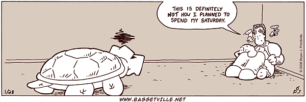 bv_012806.png