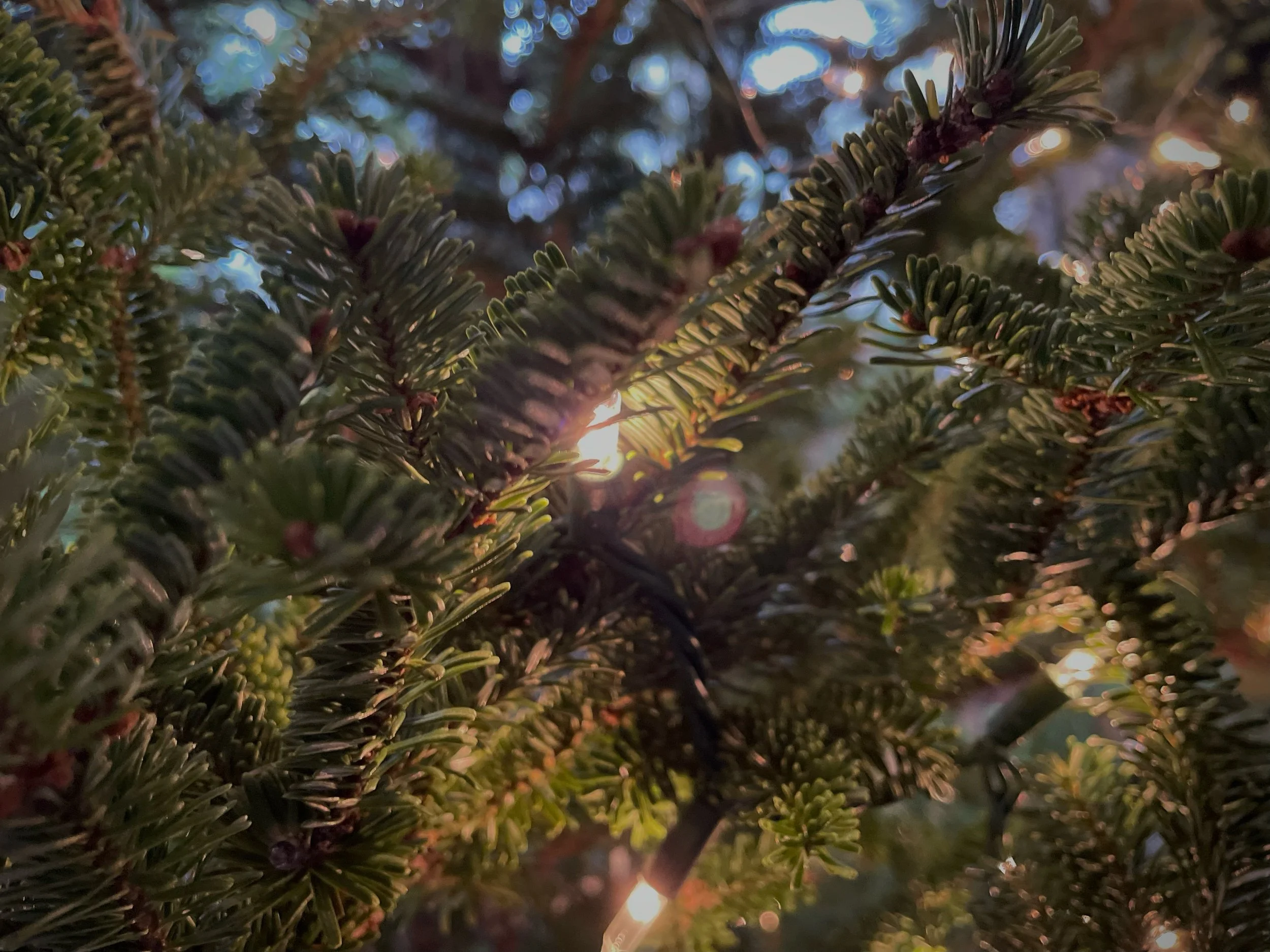 A Cheery Holiday Rant