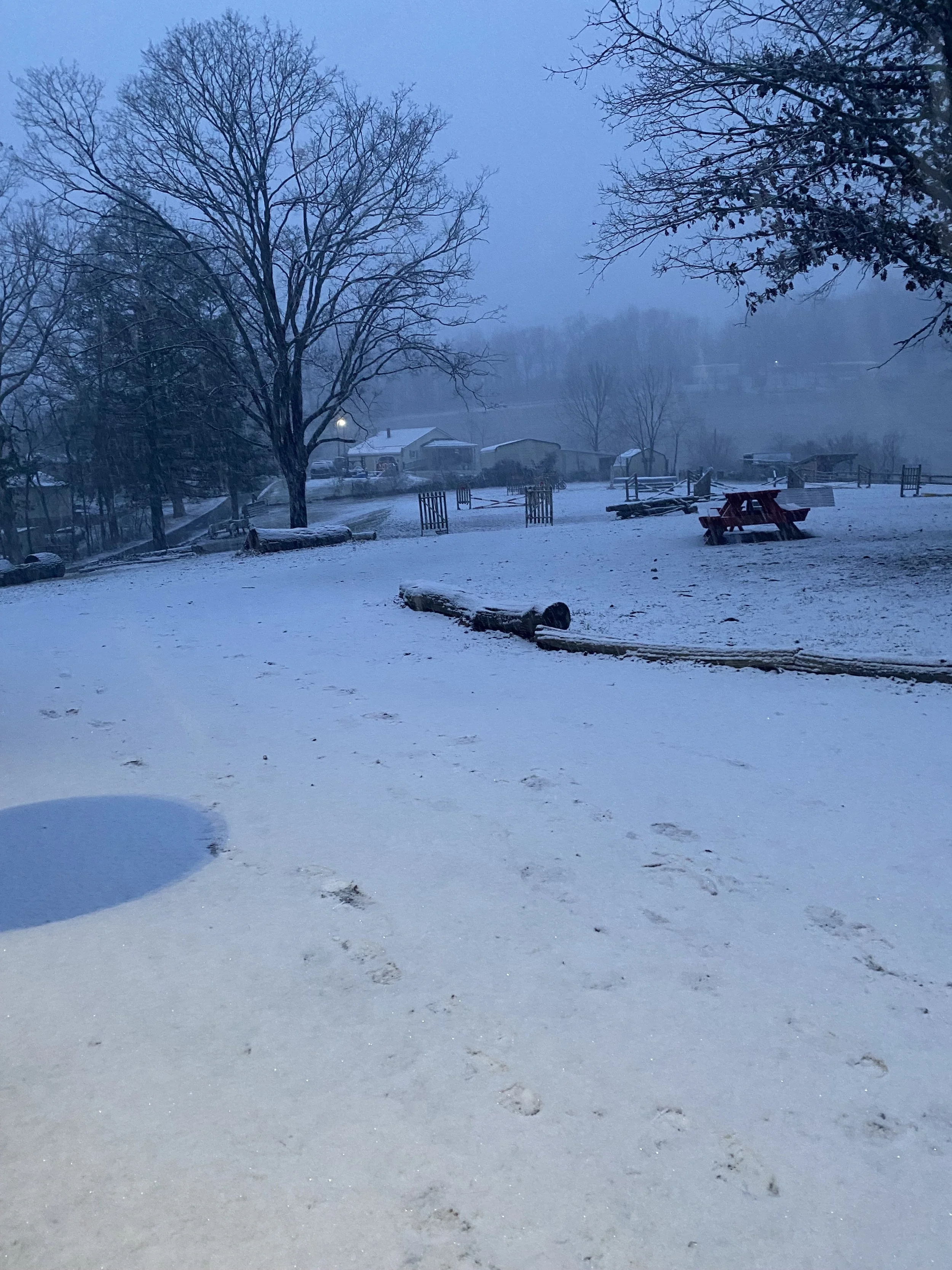 Horse Care Tips - Winter Time! 