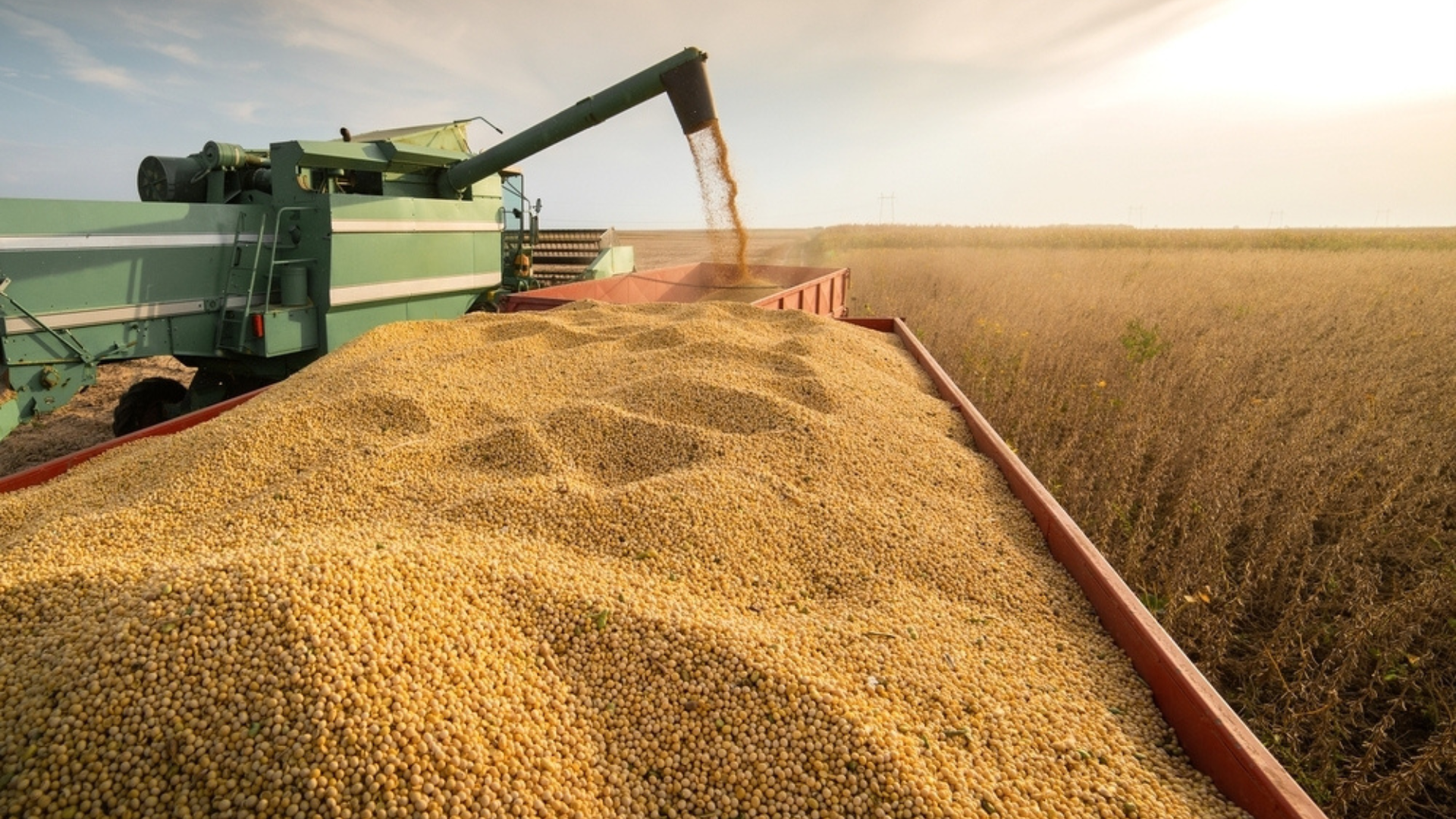 Beyond Weather Forecasts: Real-Time Agricultural Intelligence from Satellite Data