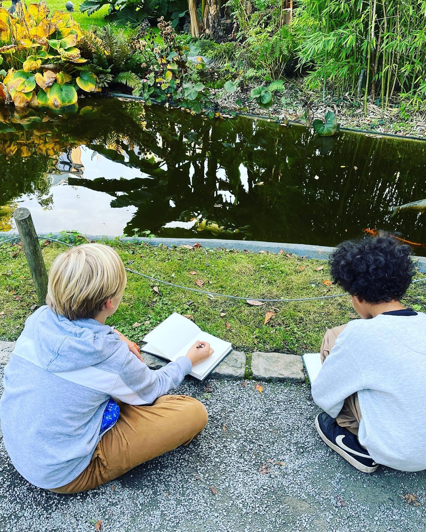 Zonnestraaltjes verzamelen in de botanische tuin