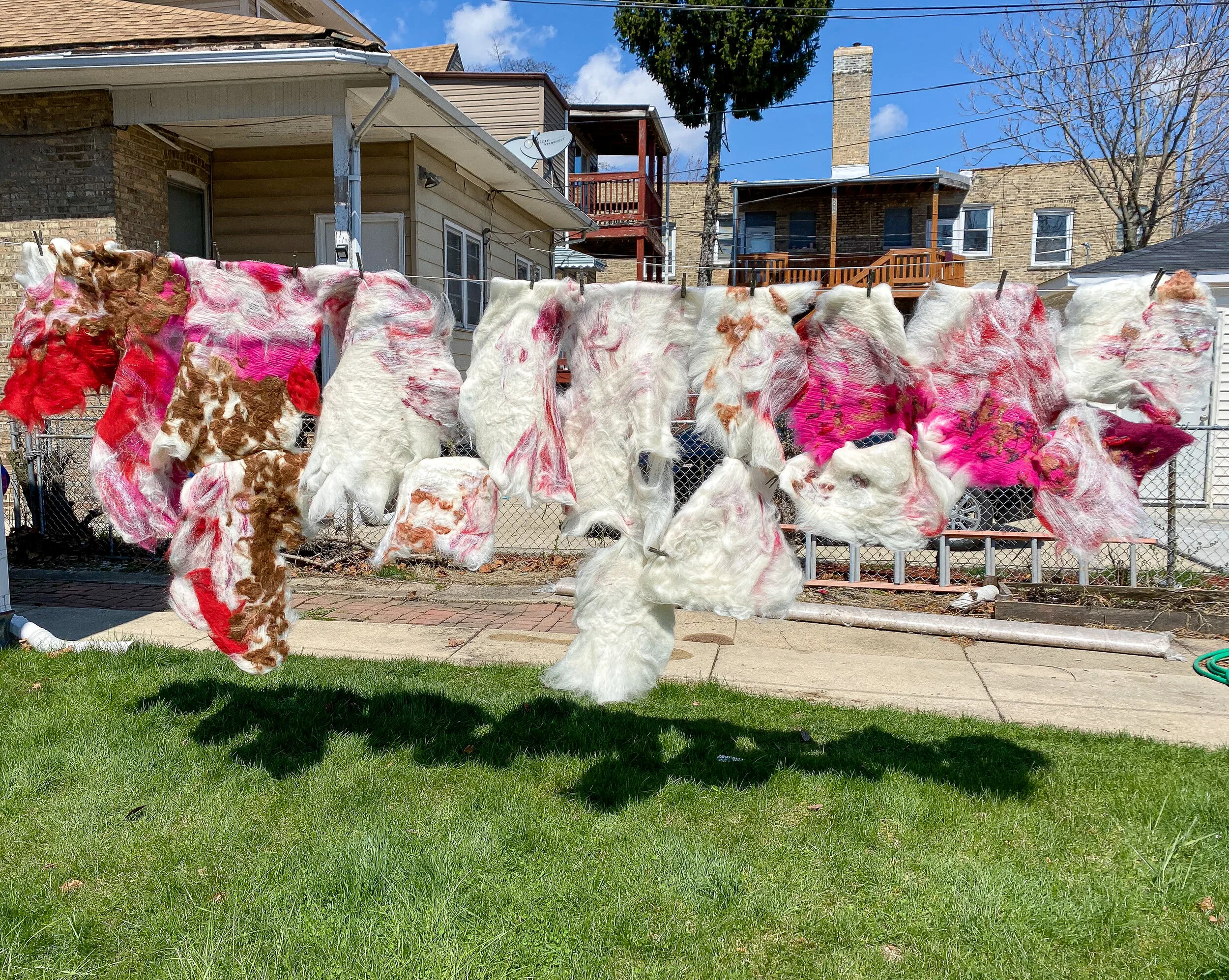 At Home in Albany Park