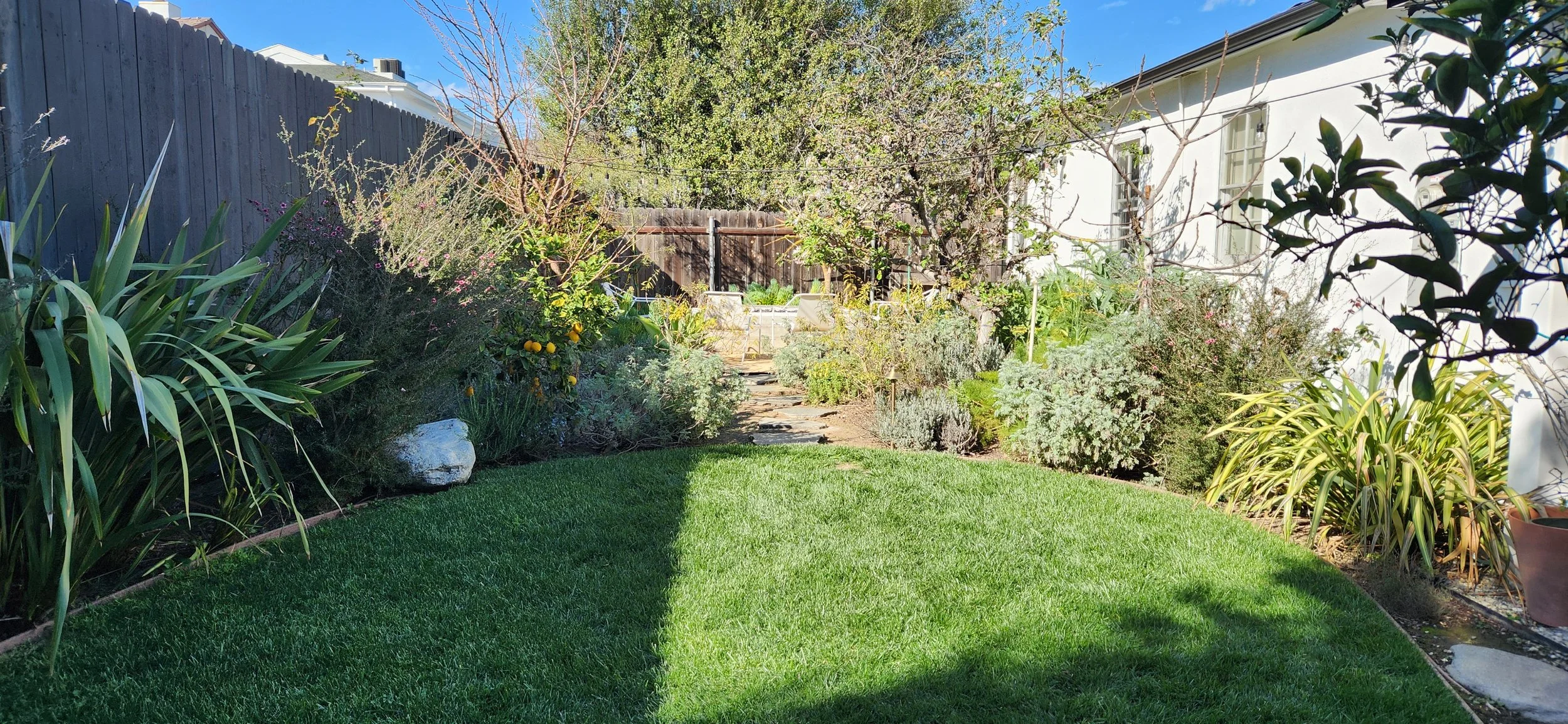 20250228_144533 - Copy.jpg