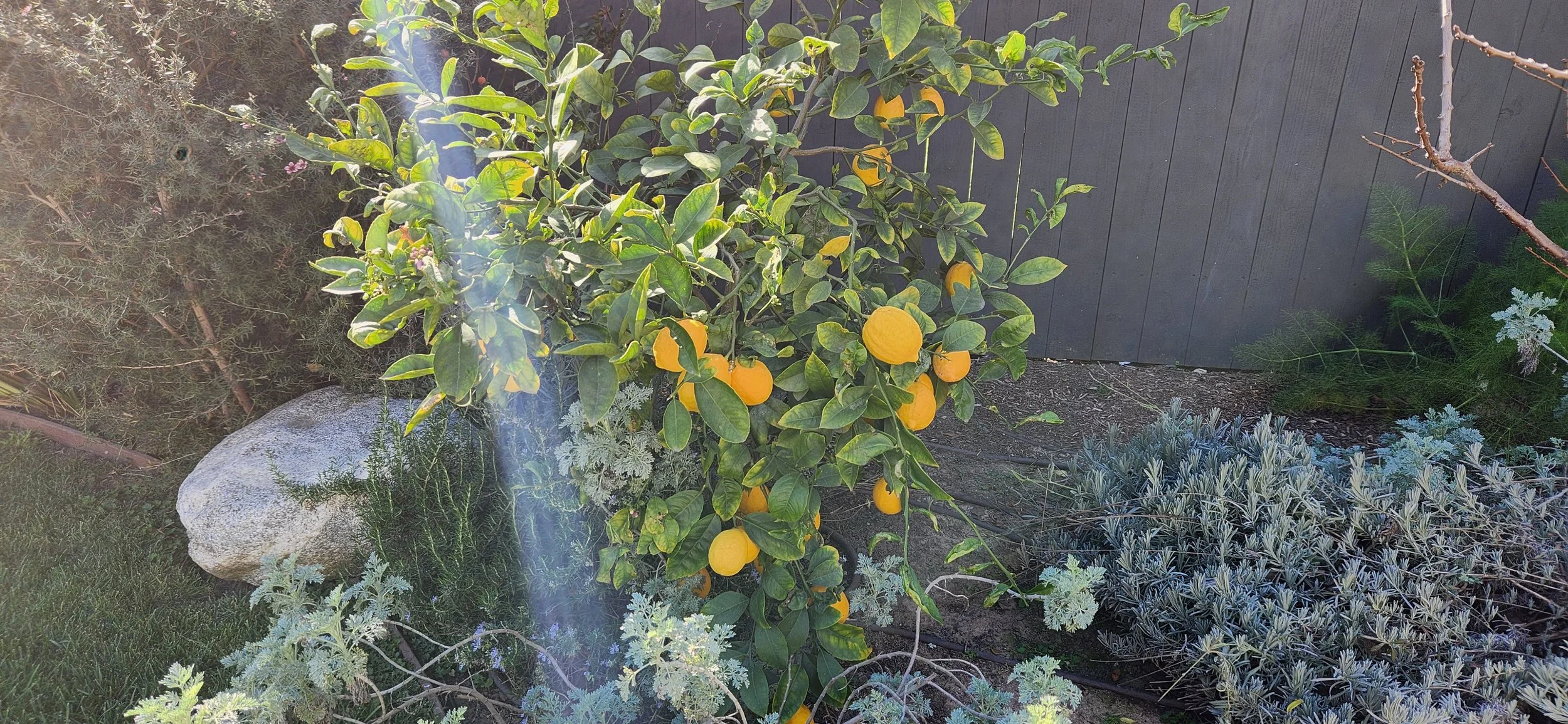 20250228_144649 - Copy.jpg