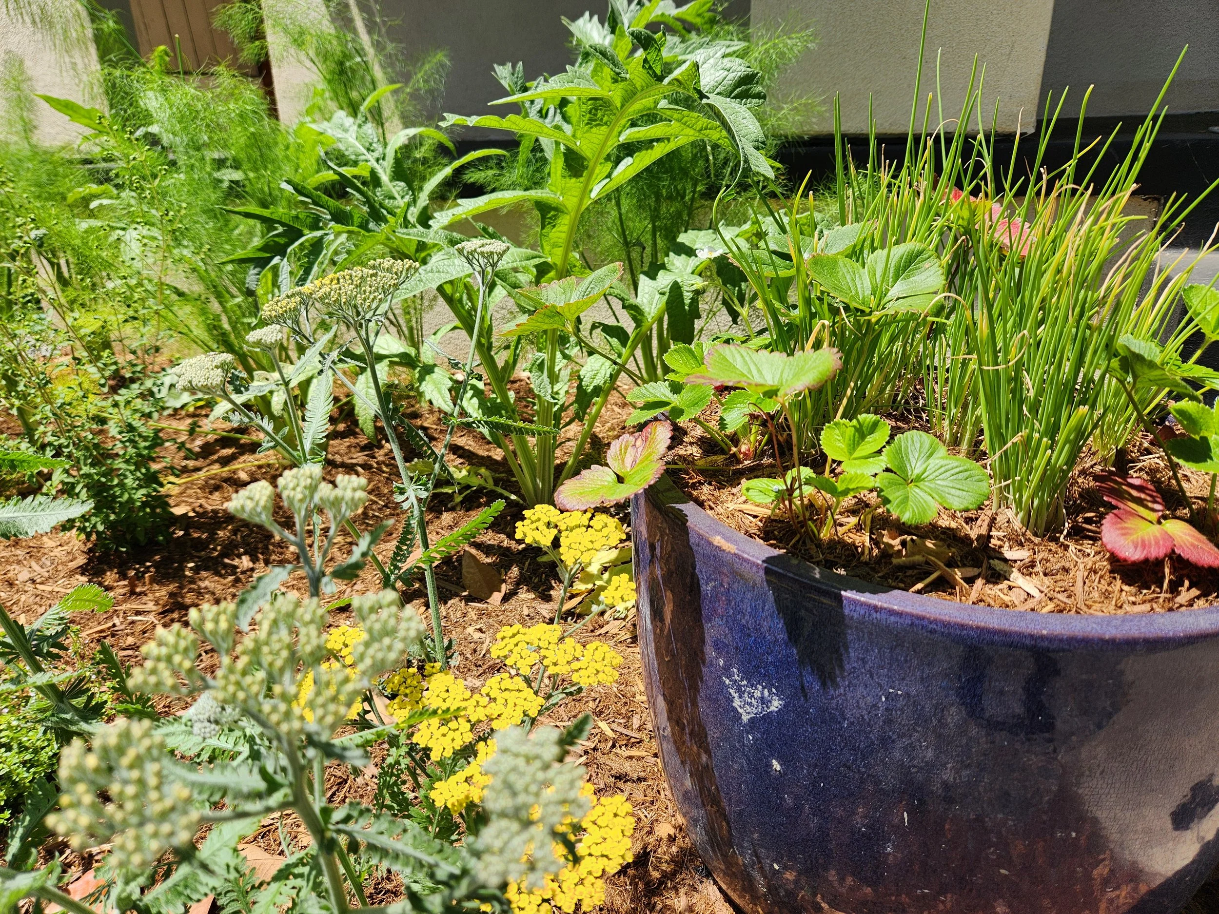 20240525_113454 - Copy.jpg