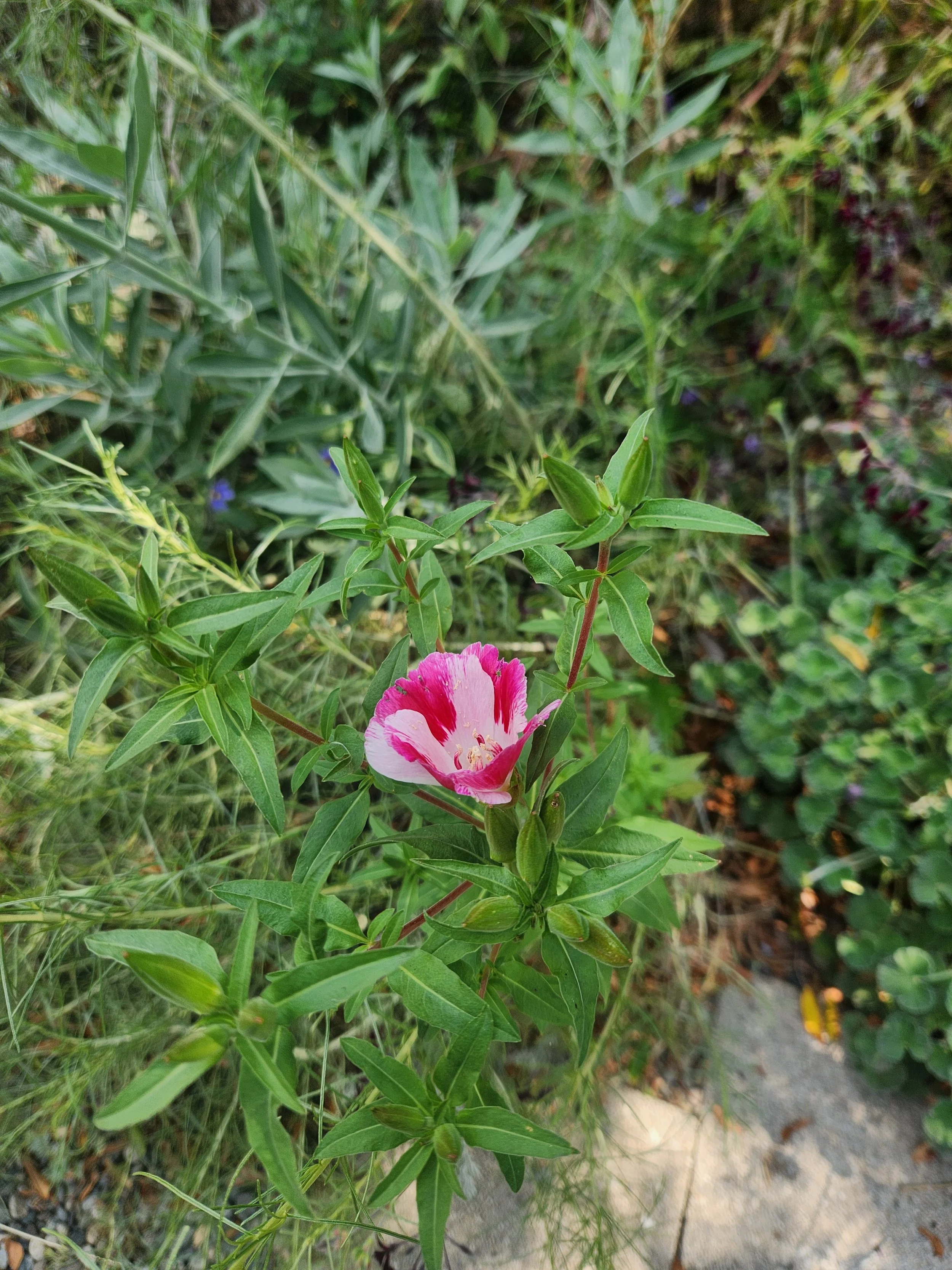 20240526_145127 - Copy.jpg