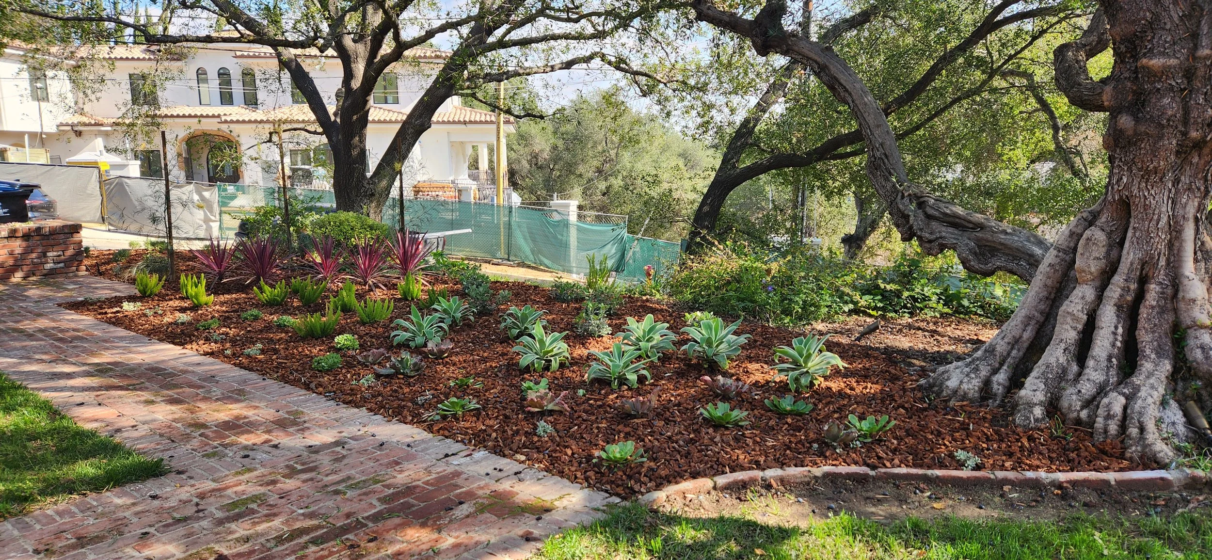 20250211_133856 - Copy.jpg