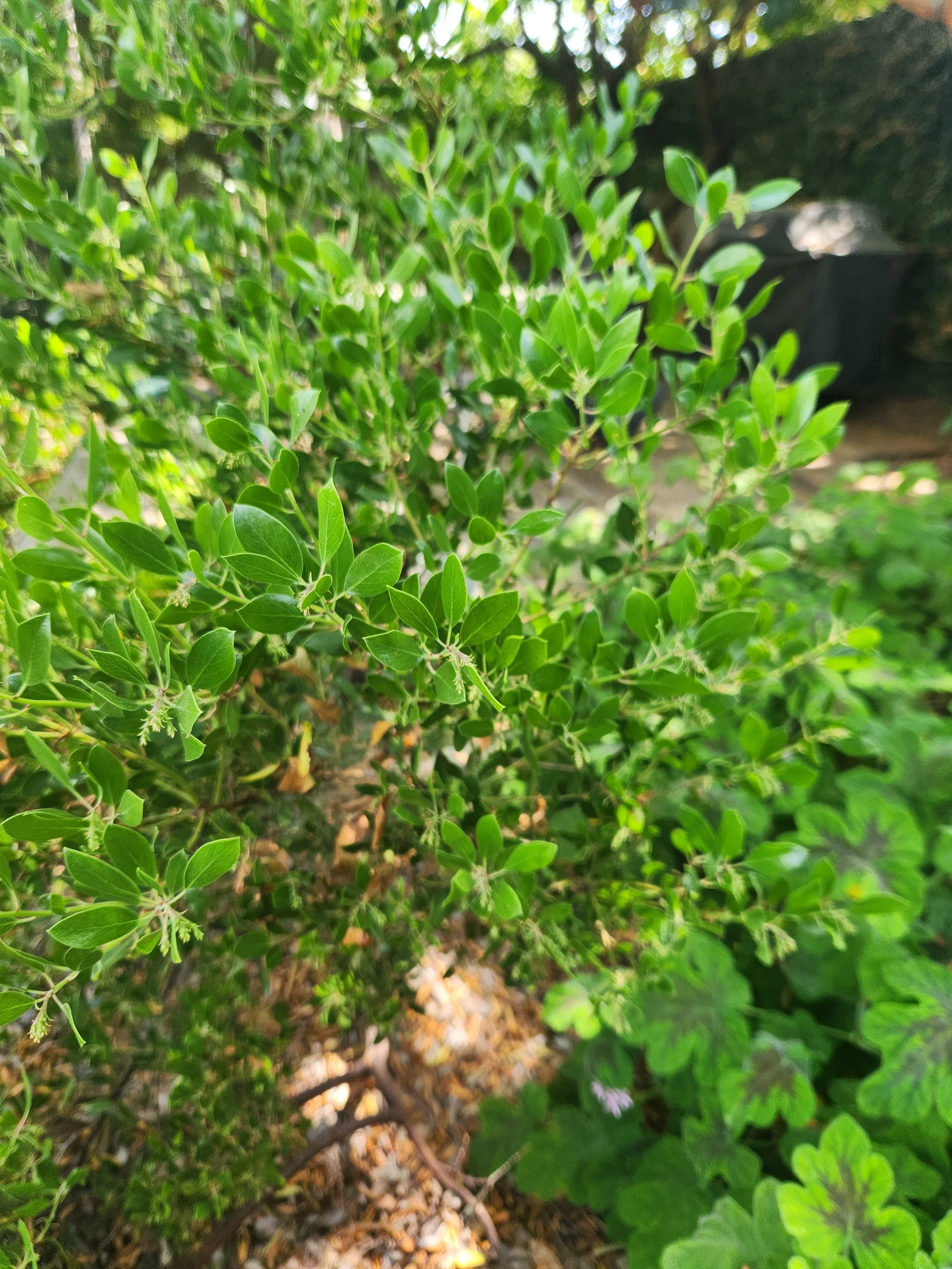 20240526_144610 - Copy.jpg