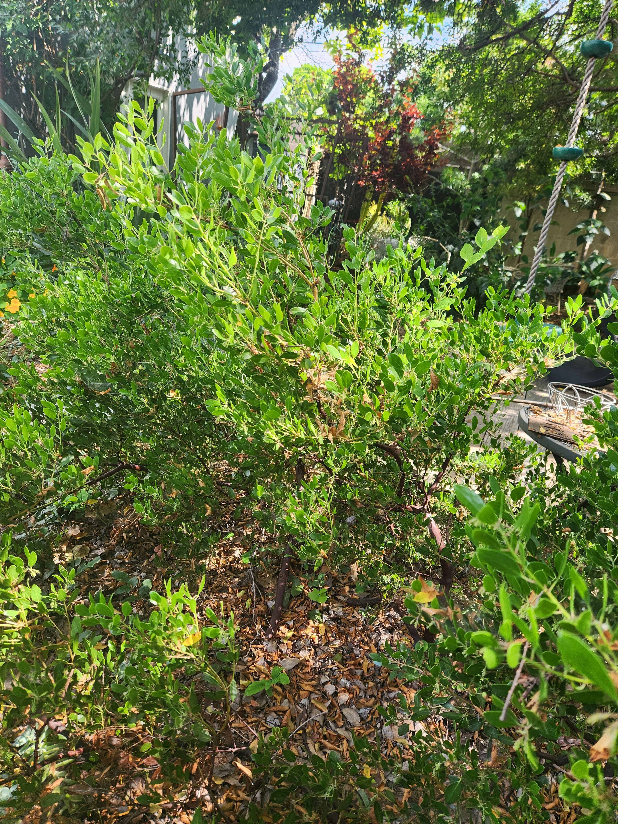 20240526_144622 - Copy.jpg