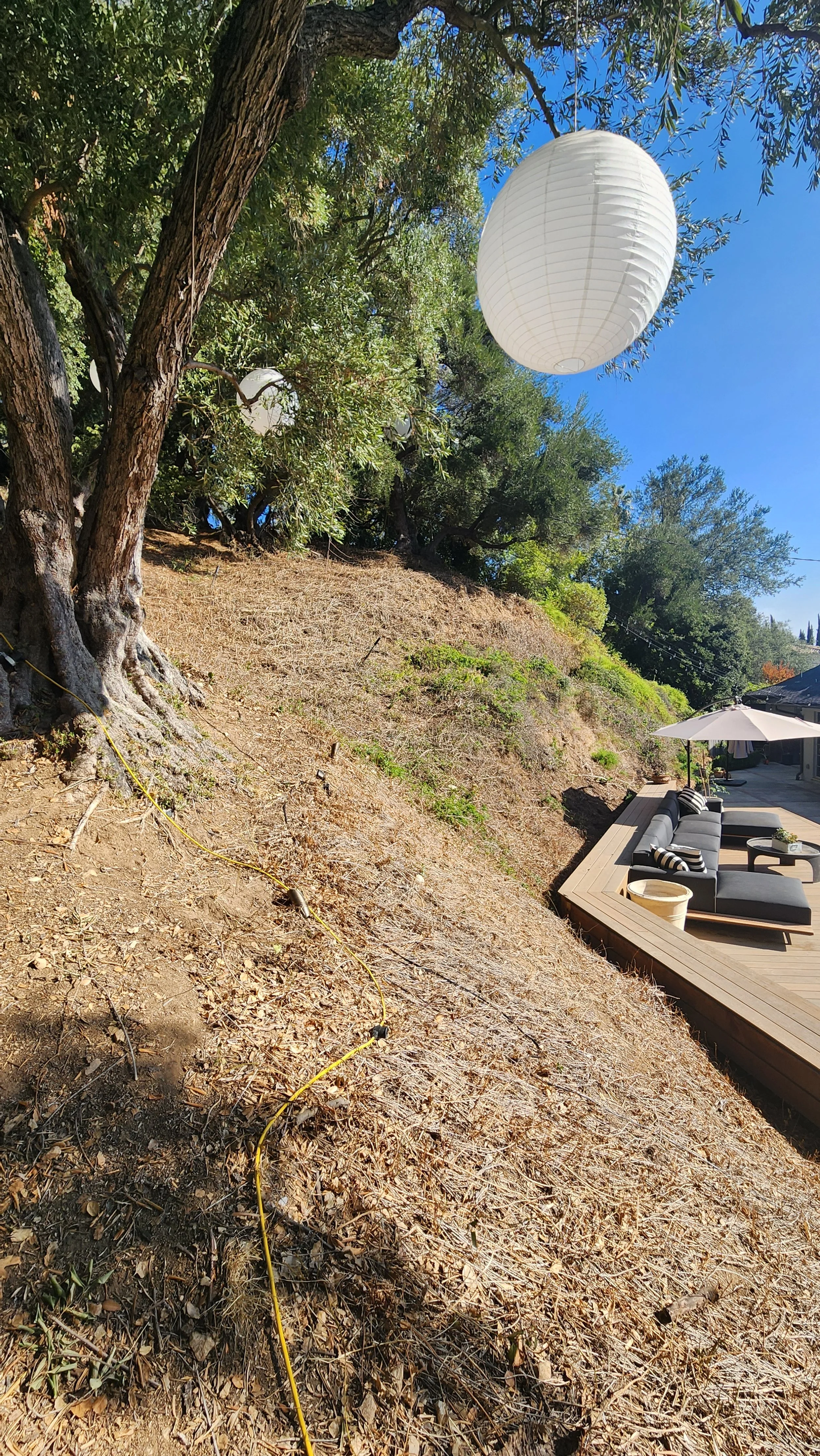 20241112_095235 - Copy.jpg