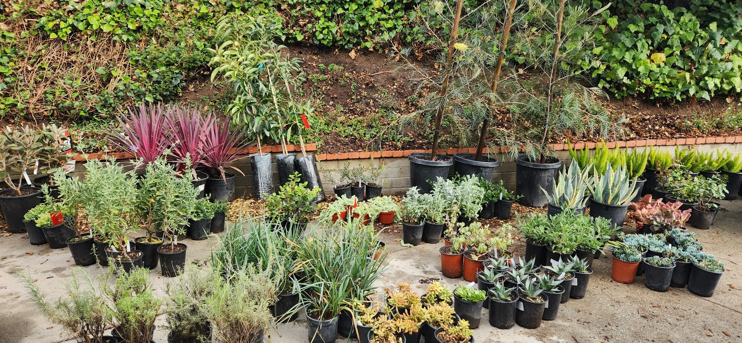 20250127_091217 - Copy.jpg