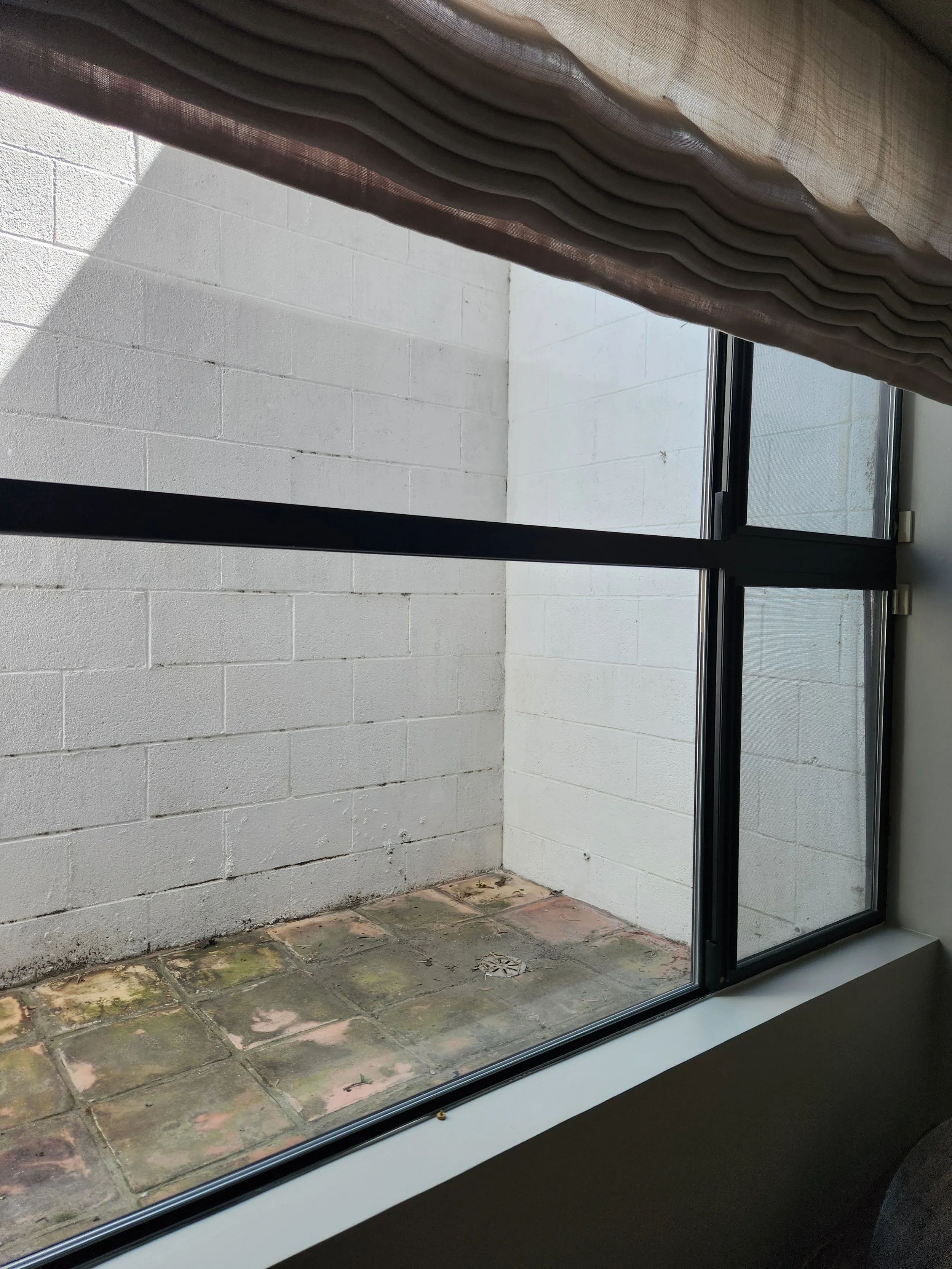 20240625_104356 - Copy.jpg