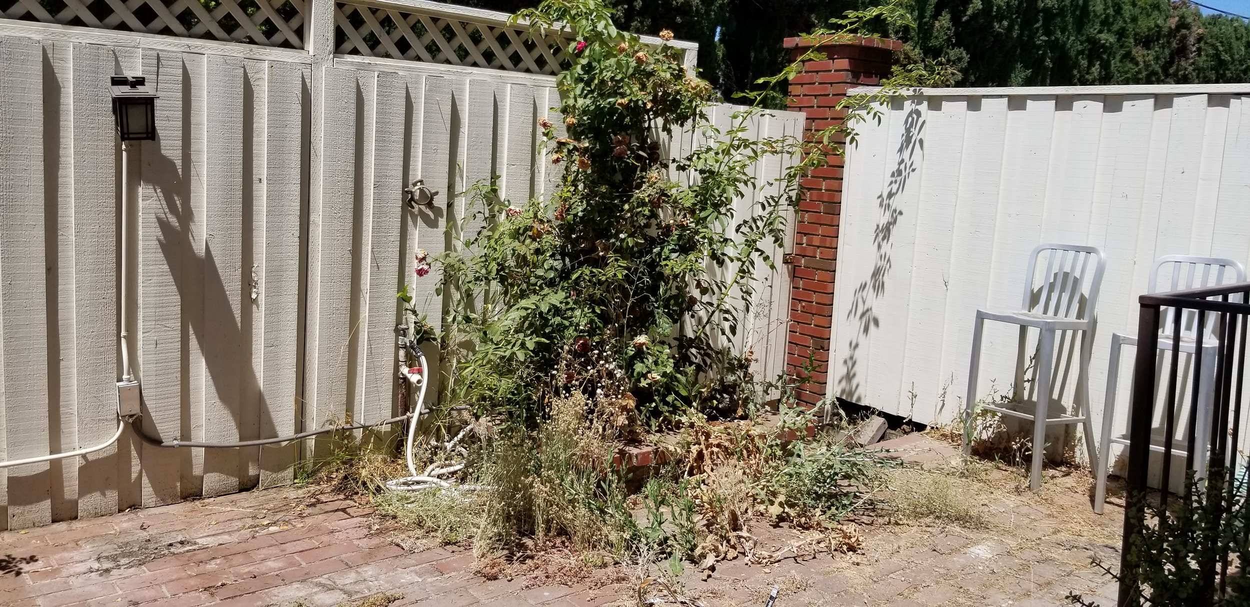 20200714_142827 - Copy.jpg