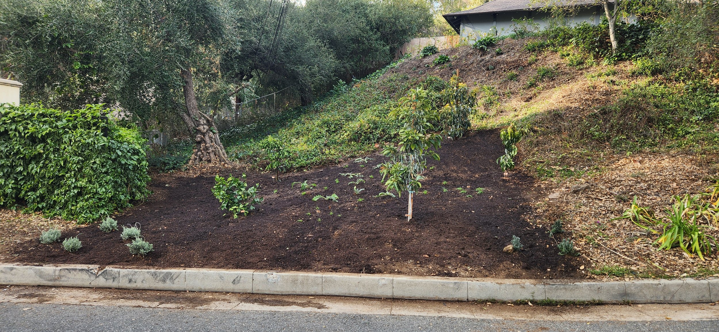 20250211_154109 - Copy.jpg