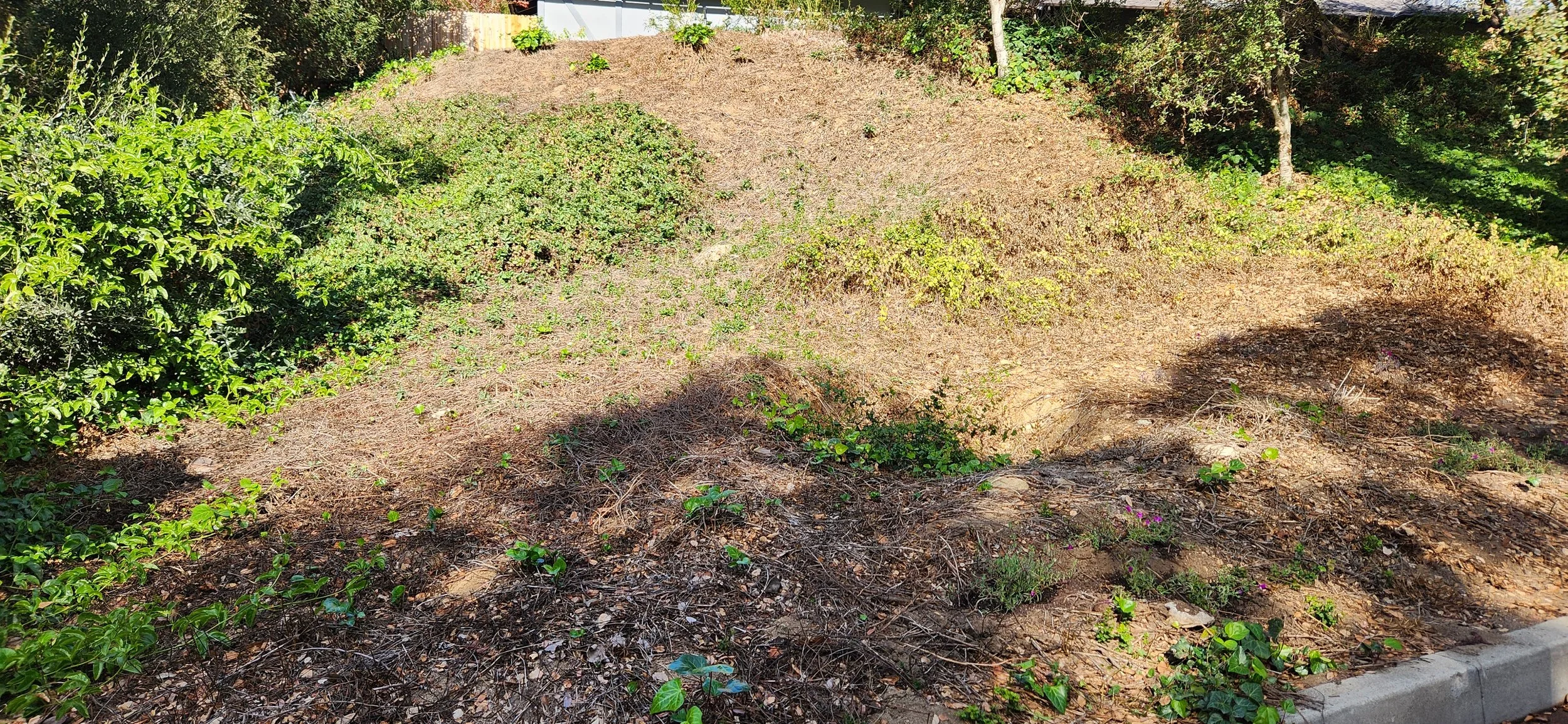 20241216_111930 - Copy.jpg